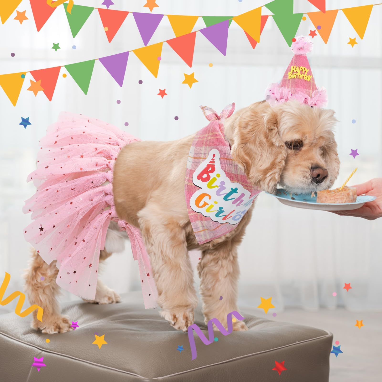SCENEREAL dog bandana detail sequins adds playful shine