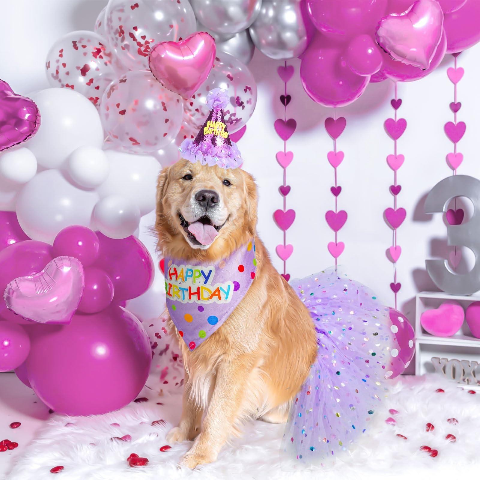 SCENEREAL dog birthday hat with adjustable buckle for secure festive wear.
