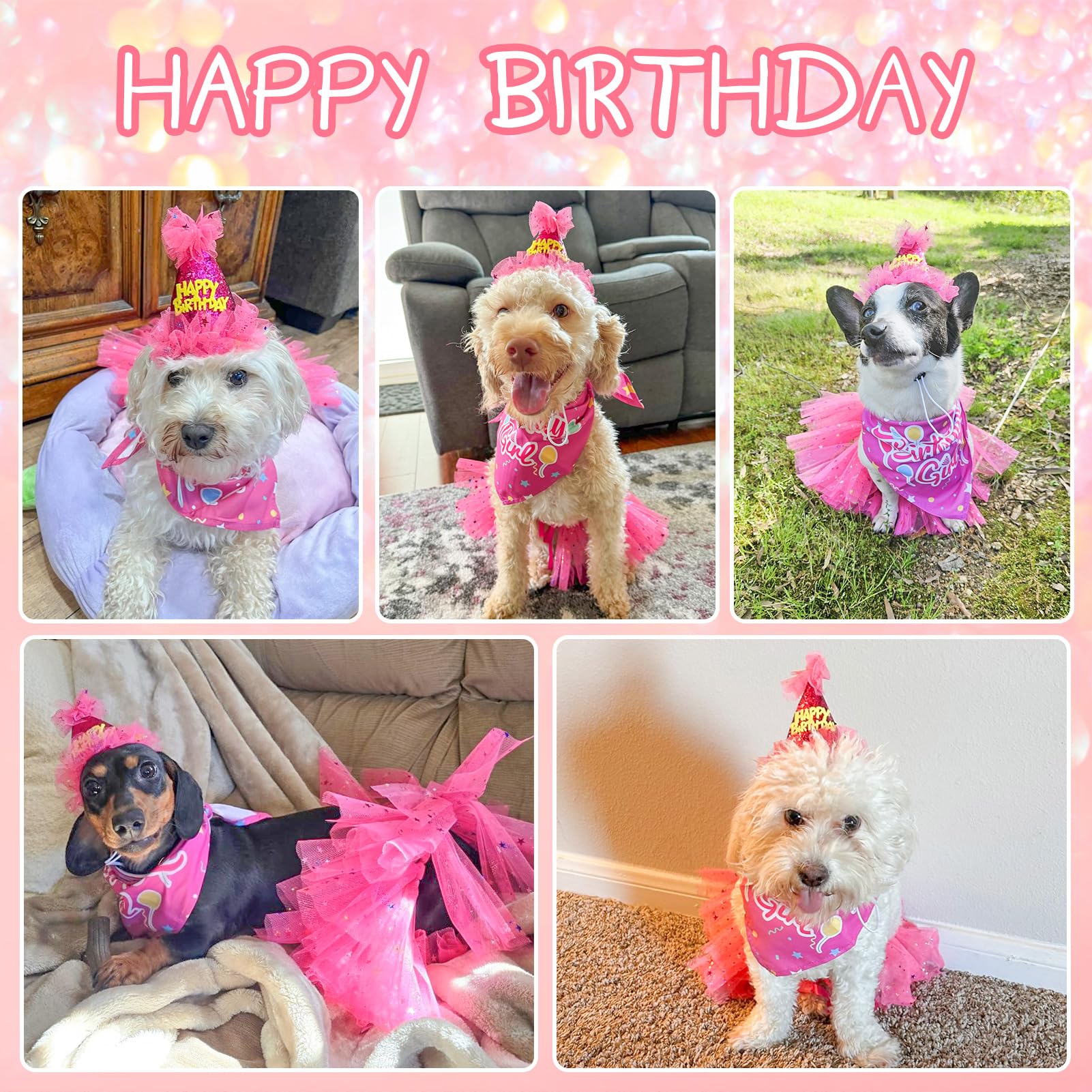 SCENEREAL dog birthday hat for festive celebration selfies