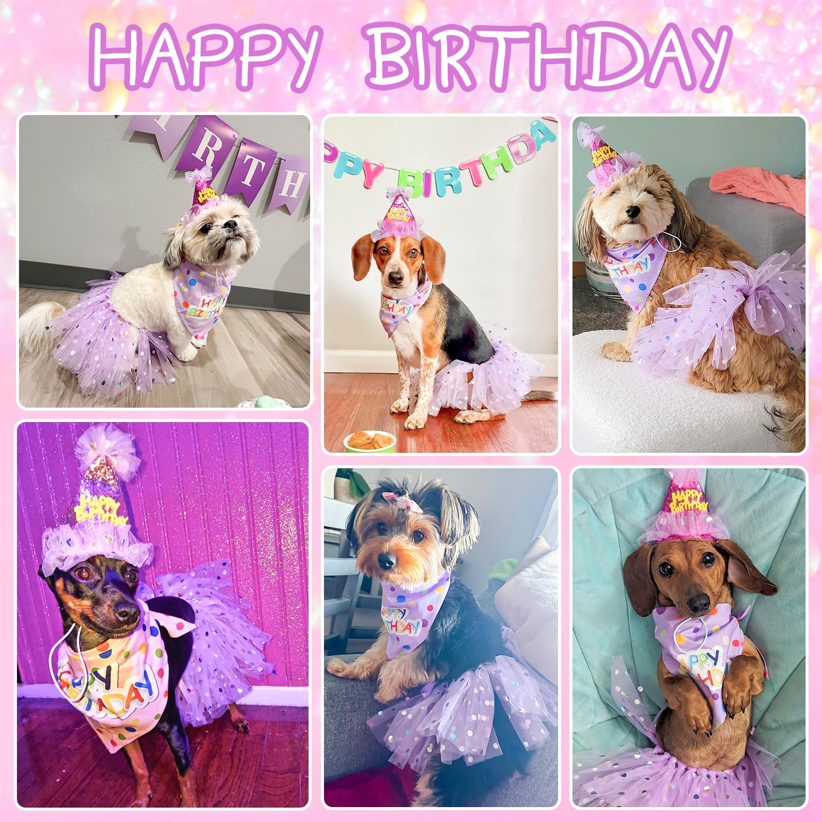 SCENEREAL dog birthday hat adds festive flair with secure fit for celebrations