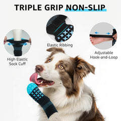 SCENEREAL dog booties worn on paws serving as paw protectors outdoors.