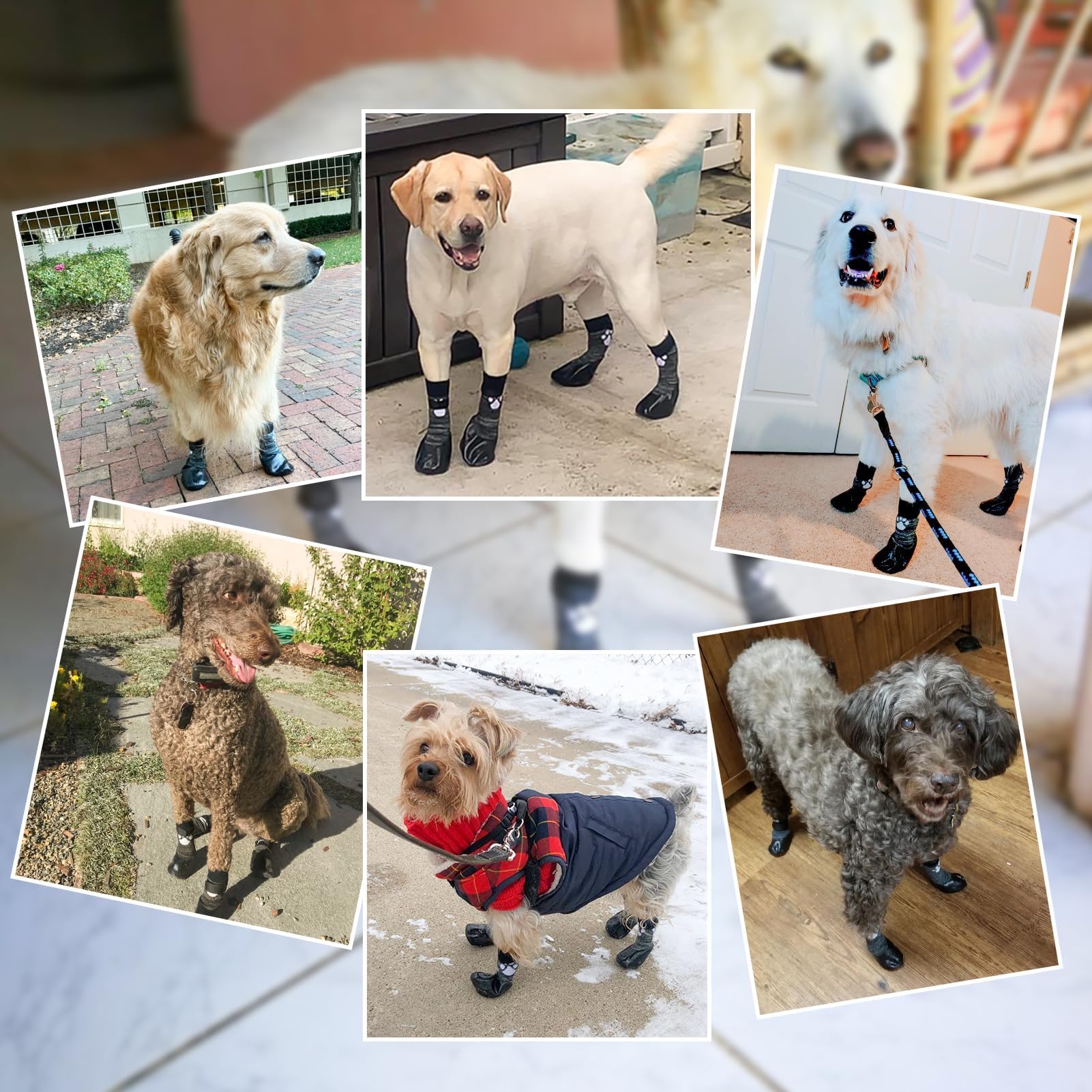 SCENEREAL seasonally versatile dog boots suitable for cold and warm weather.