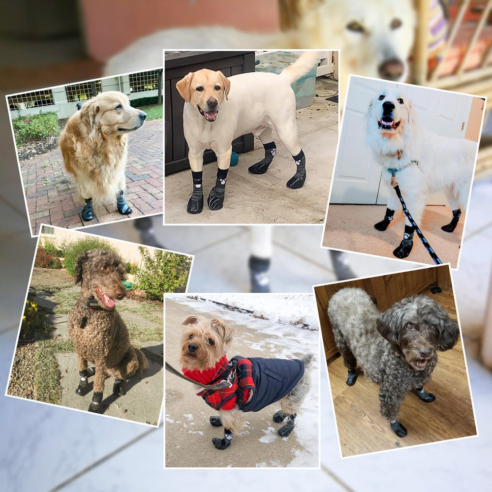 SCENEREAL seasonally versatile dog boots suitable for cold and warm weather.