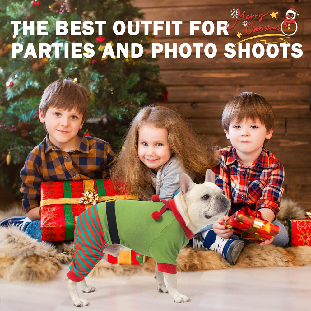 SCENEREAL dog Christmas elf-front view; festive photo-ready outfit.