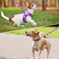 SCENEREAL dog collar bell detail highlights secure fit and alertness during outdoor time.