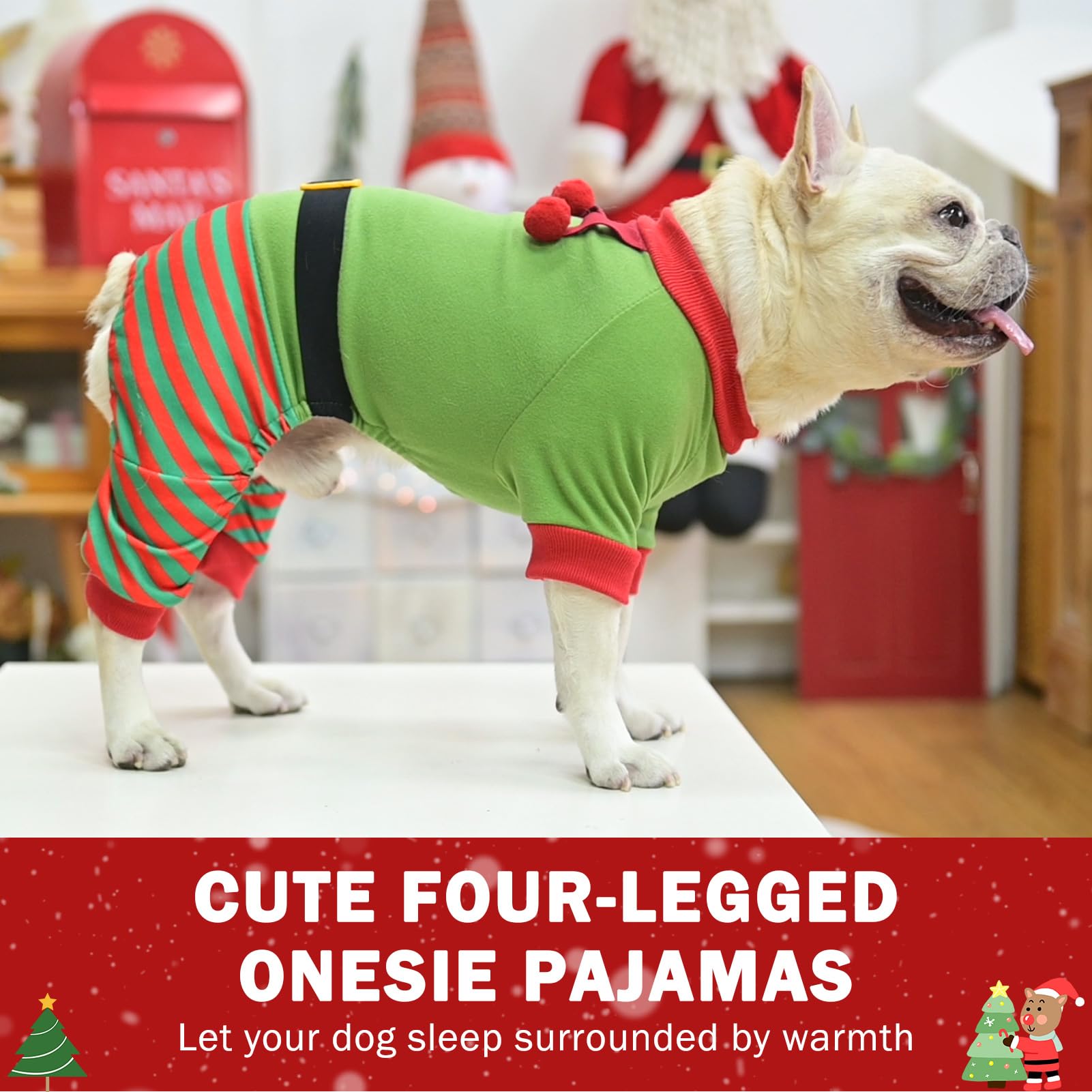 SCENEREAL green dog sweater worn during winter outings.