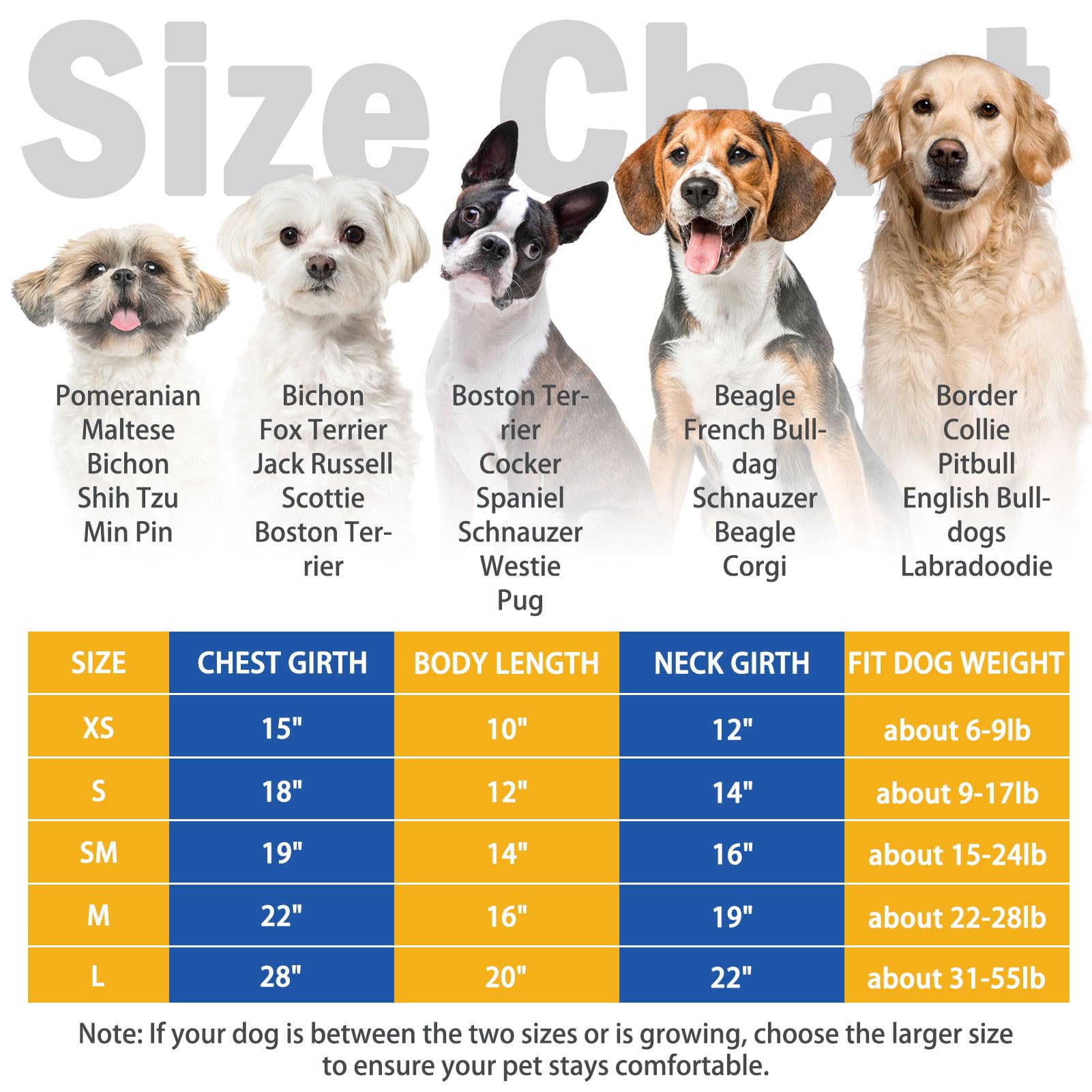 SCENEREAL dog hoodie front fit highlights a clean sporty silhouette