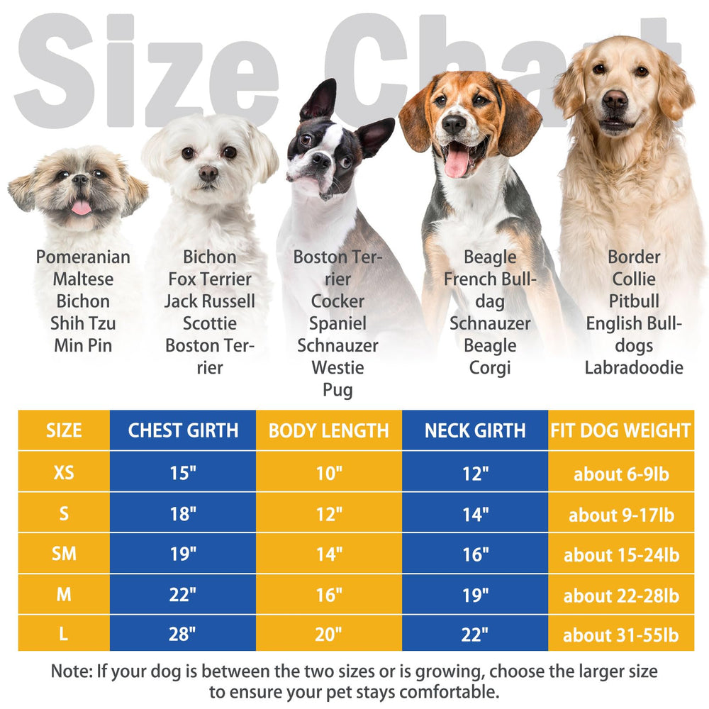 SCENEREAL dog hoodie front fit highlights a clean sporty silhouette