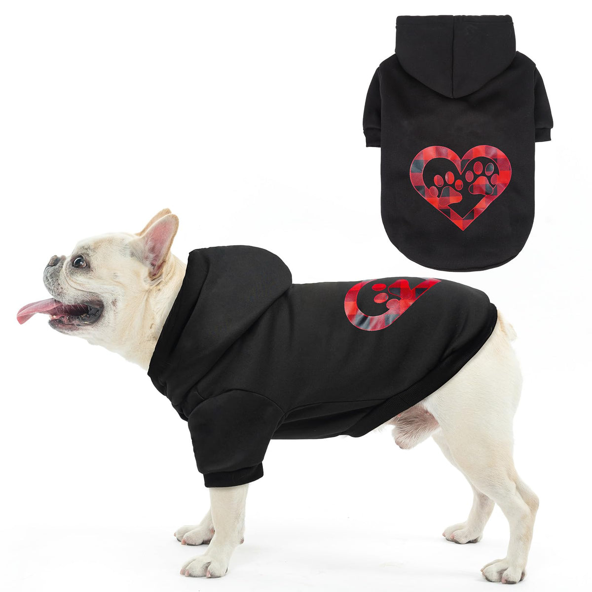 SCENEREAL dog hoodie closeup shows soft fleece warmth for chilly autumn walks.