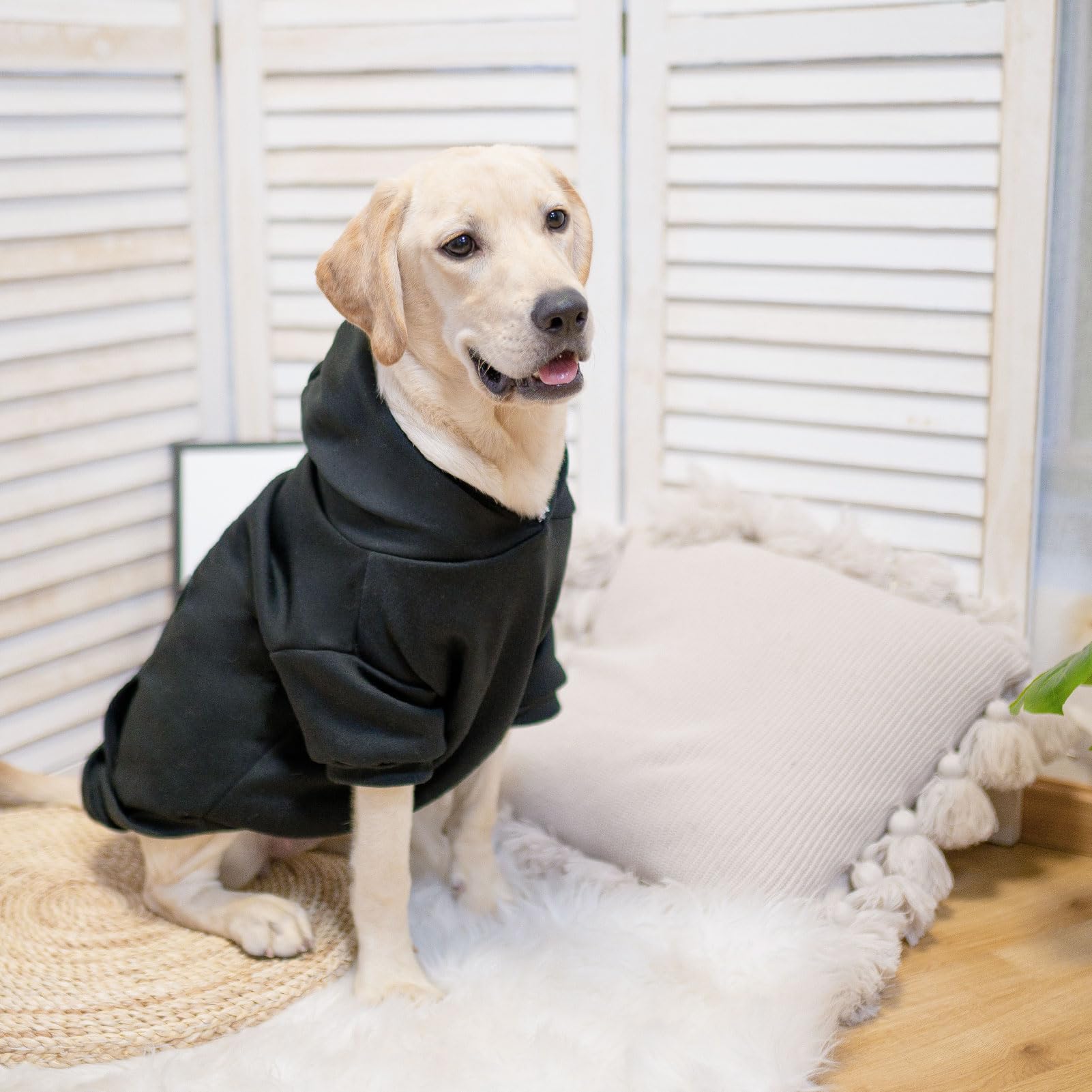 SCENEREAL dog hoodie machine washable care for easy cleaning and upkeep