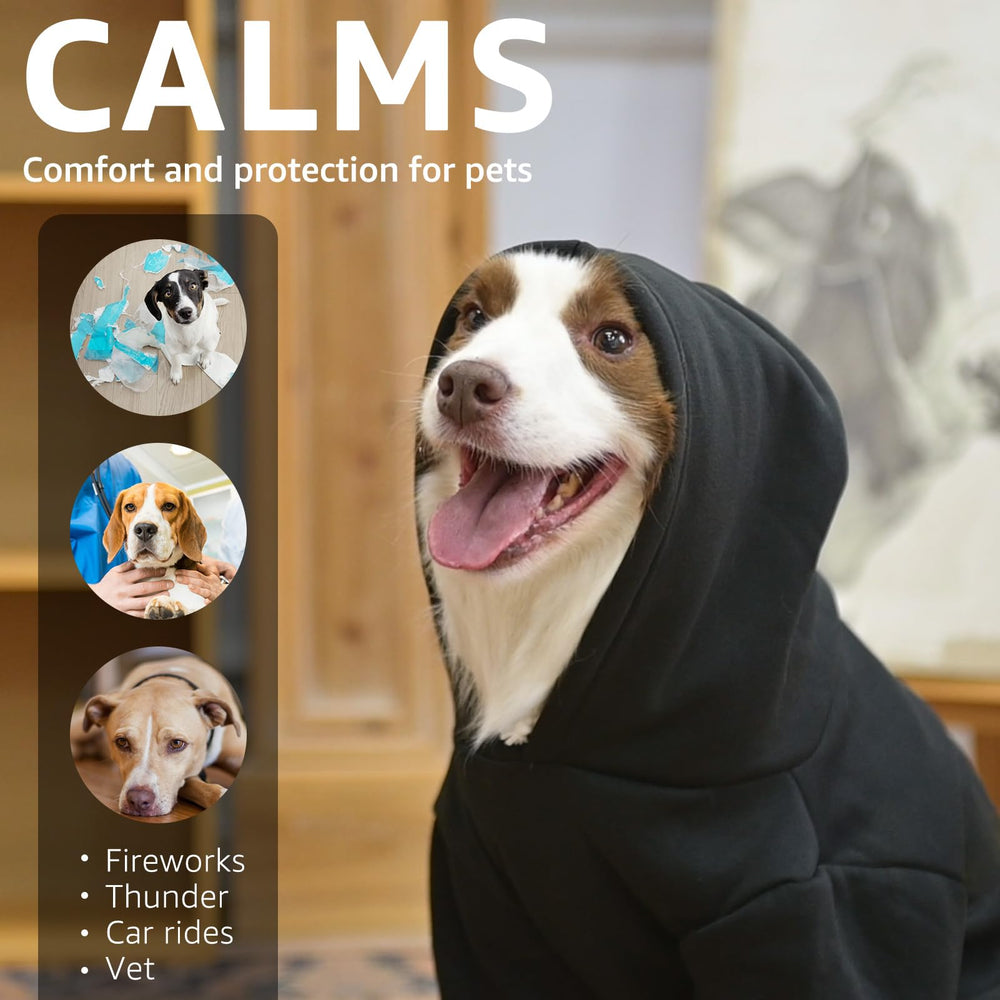 SCENEREAL hoodie closeup shows reinforced stitching and durable fabric for playful pups.
