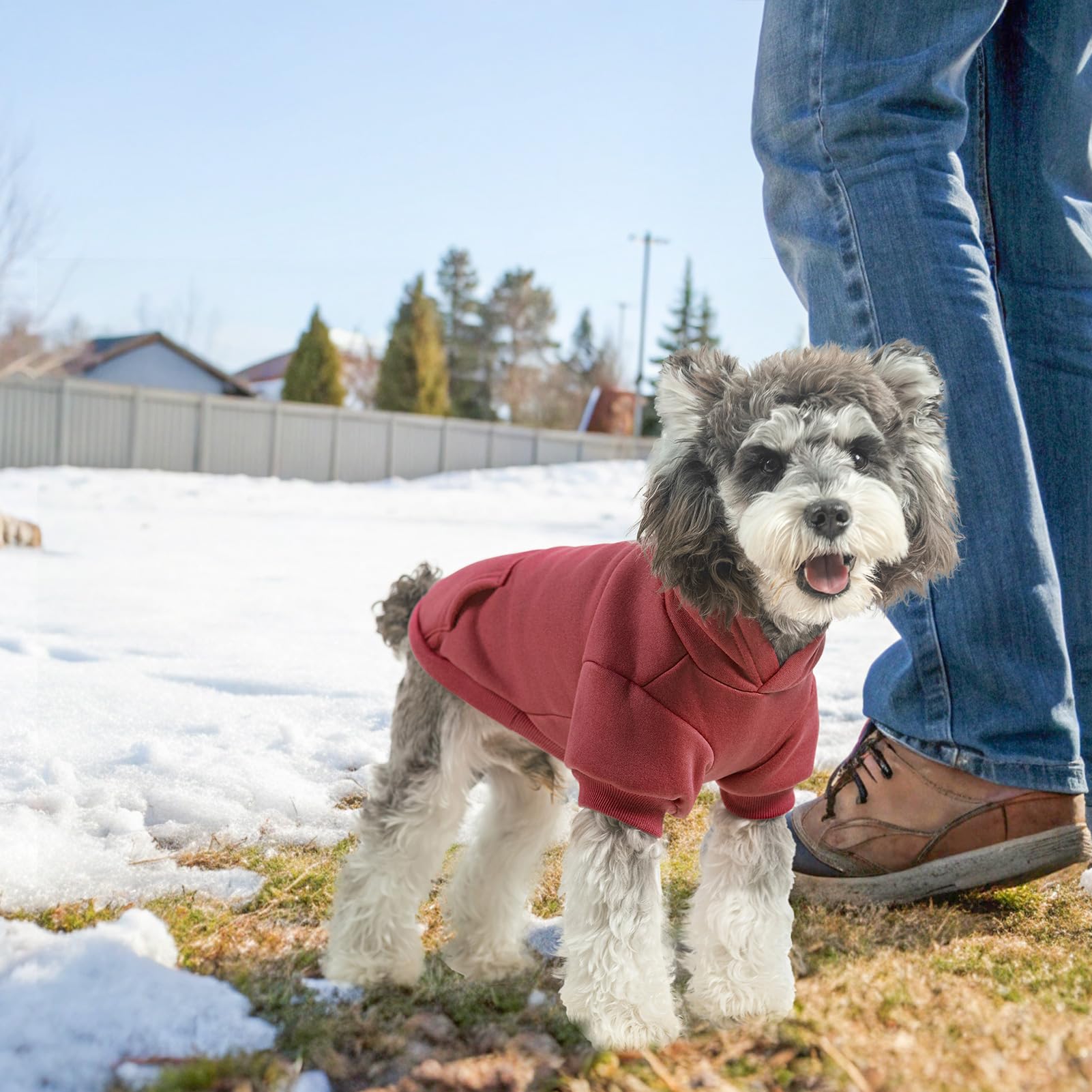 SCENEREAL dog hoodie fleece texture indicates soft warmth