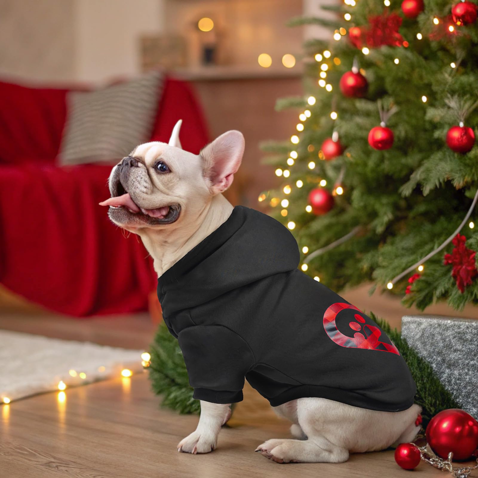 SCENEREAL dog hoodie winter-stroll image illustrates durable construction for active dogs