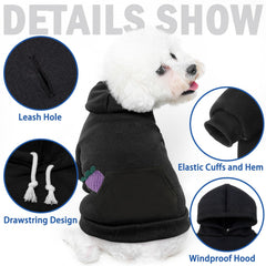 SCENEREAL dog hoodie with hat demonstrates playful style for chilly outings