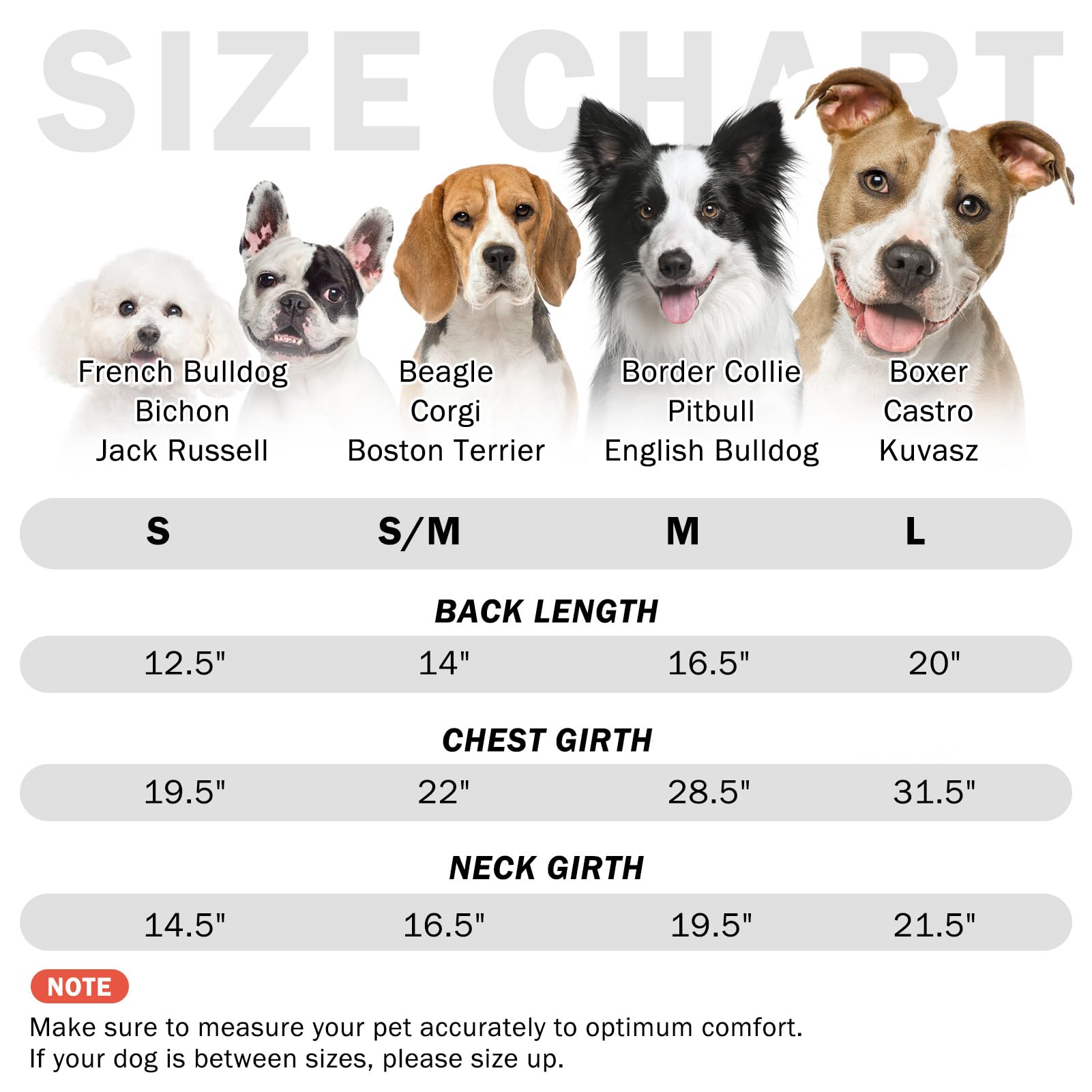 SCENEREAL dog pajama-style coat shows soft fleece and snug fit.