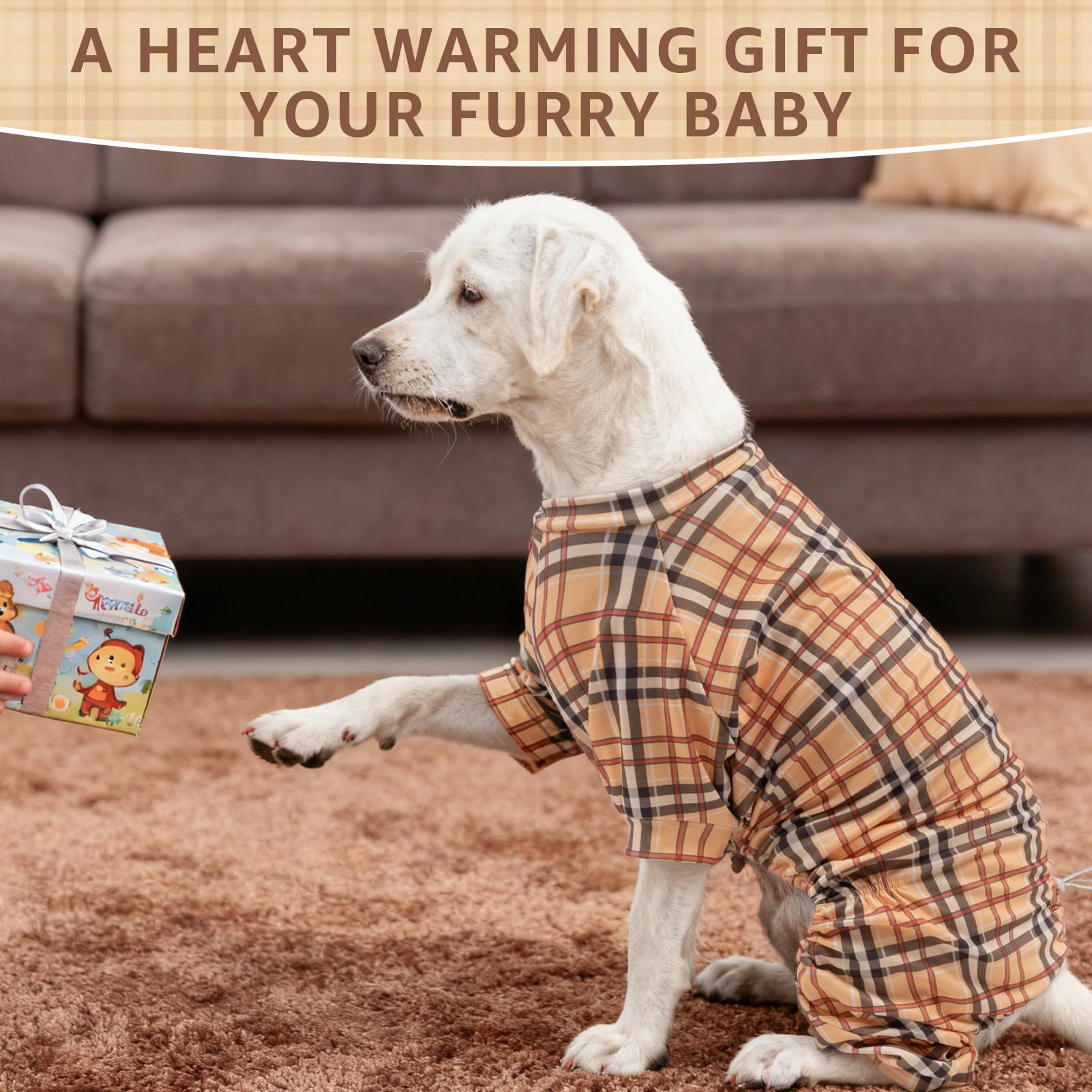 SCENEREAL dog pajamas after grooming keep pets warm and stylish