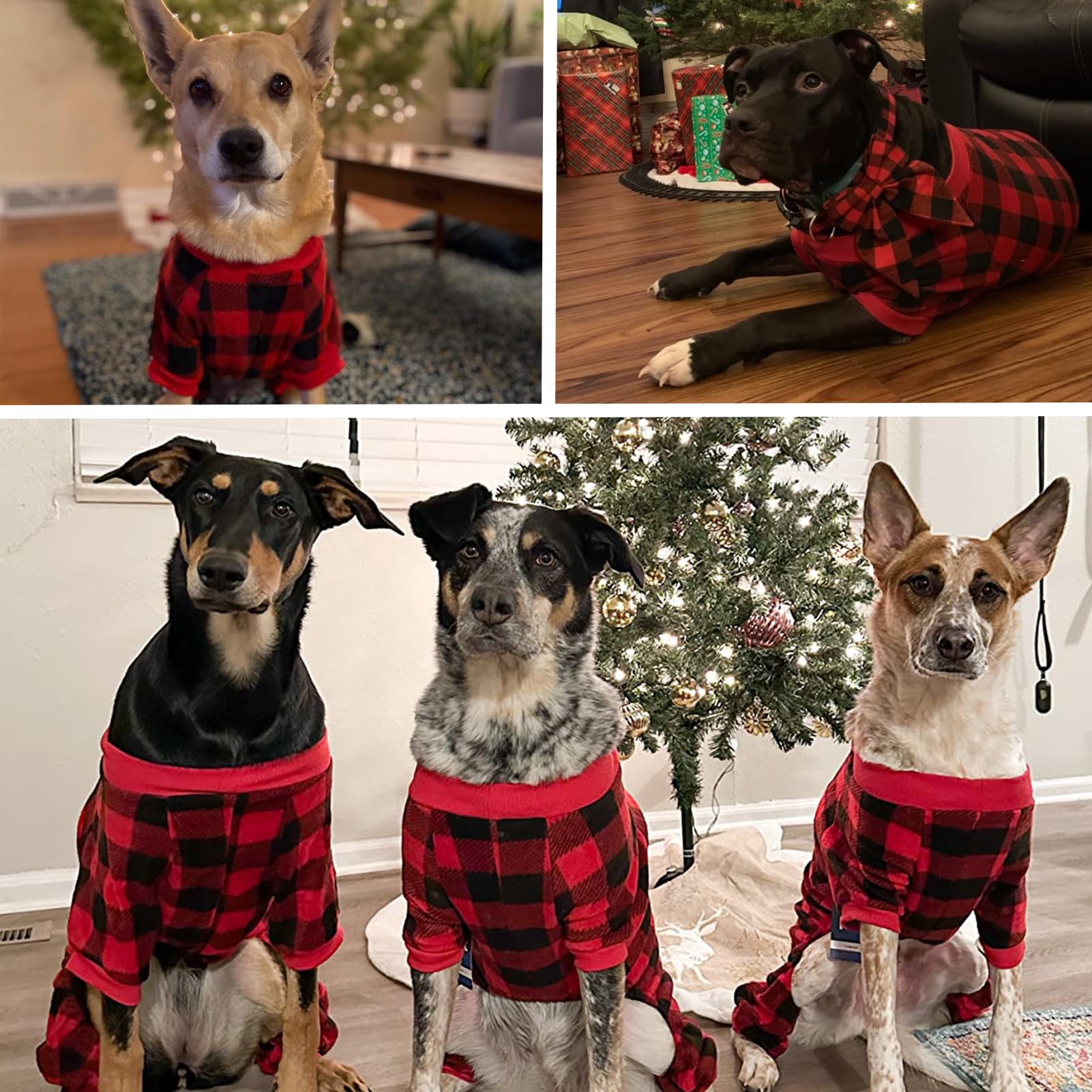 SCENEREAL dog pajamas checkered pattern highlights festive holiday look.