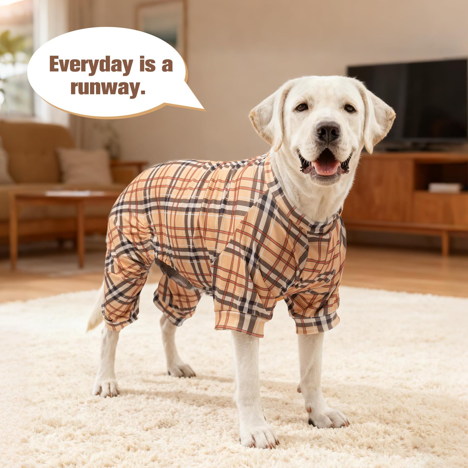SCENEREAL dog pajamas worn during daily walks provide versatile warmth