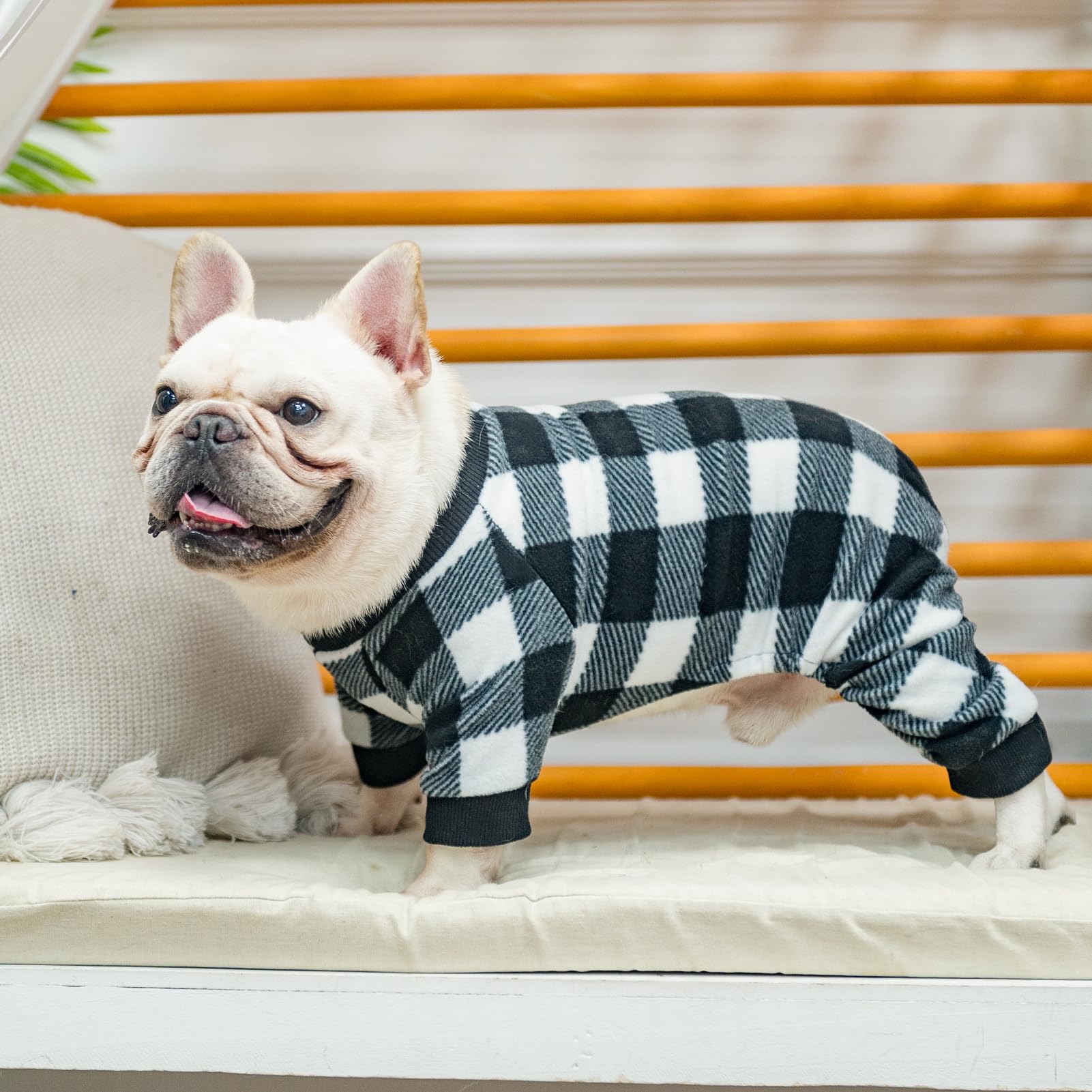 SCENEREAL Dog Pajamas are machine washable for easy care and quick cleanup