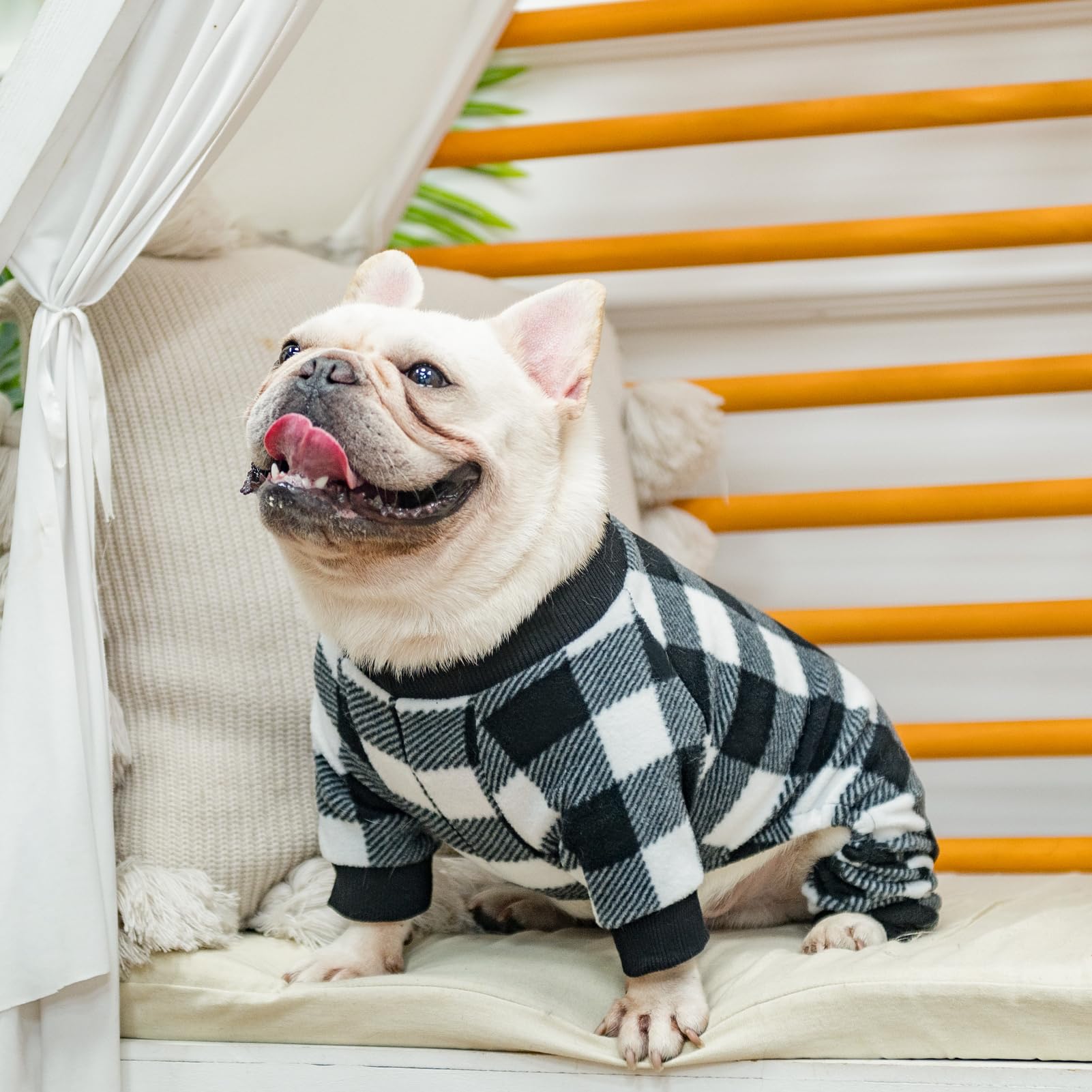 SCENEREAL Dog Pajamas size guide helps you pick the right fit