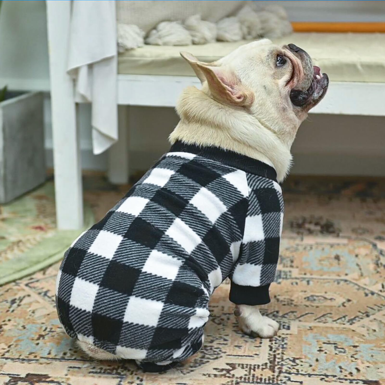 SCENEREAL Dog Pajamas are a pet closet must-have for cozy wear