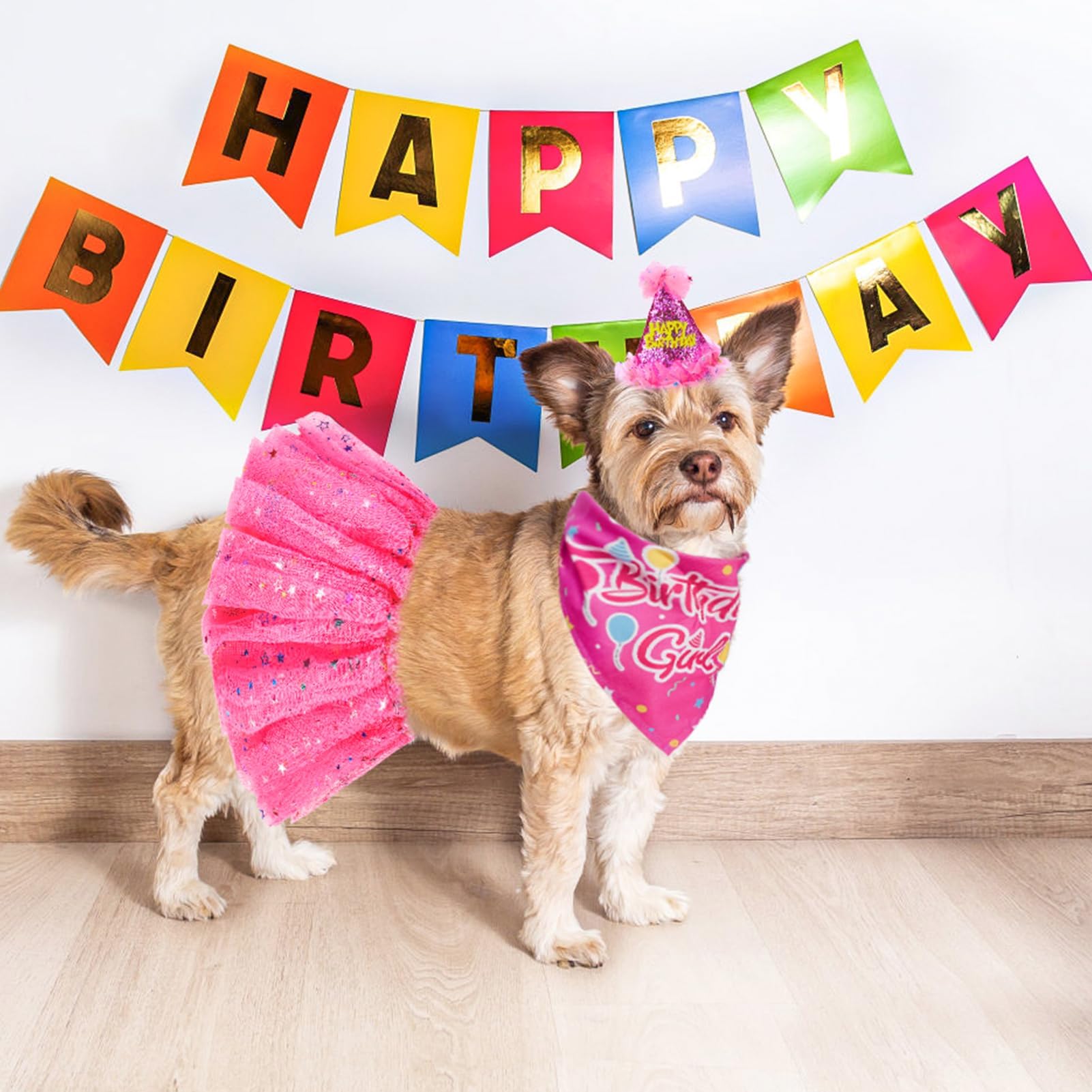 SCENEREAL dog party photo session with complete outfit set