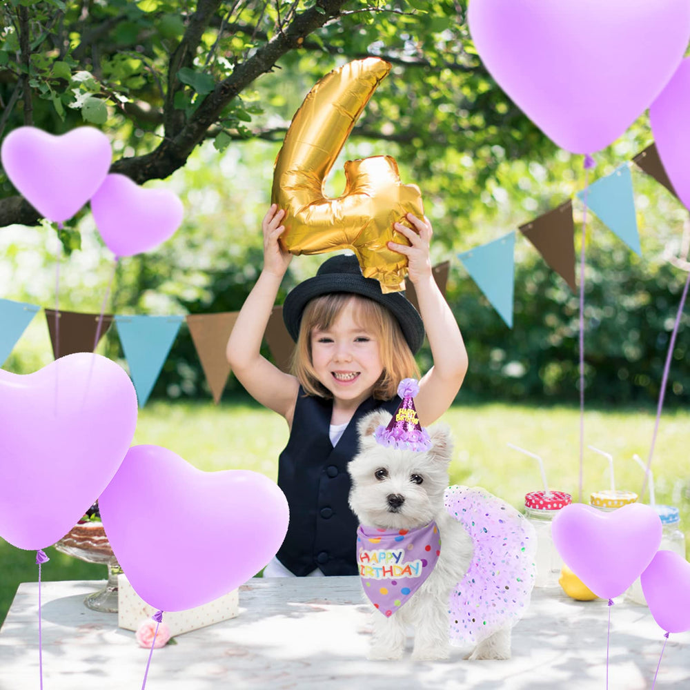 SCENEREAL dog party scene visuals enhance memorable celebration photos