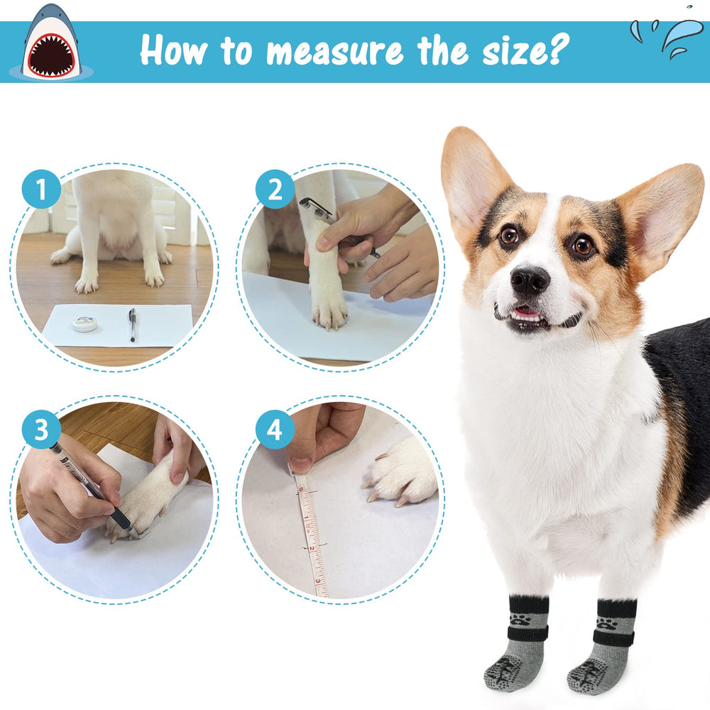 SCENEREAL socks paired with clothing add cute, practical canine style.
