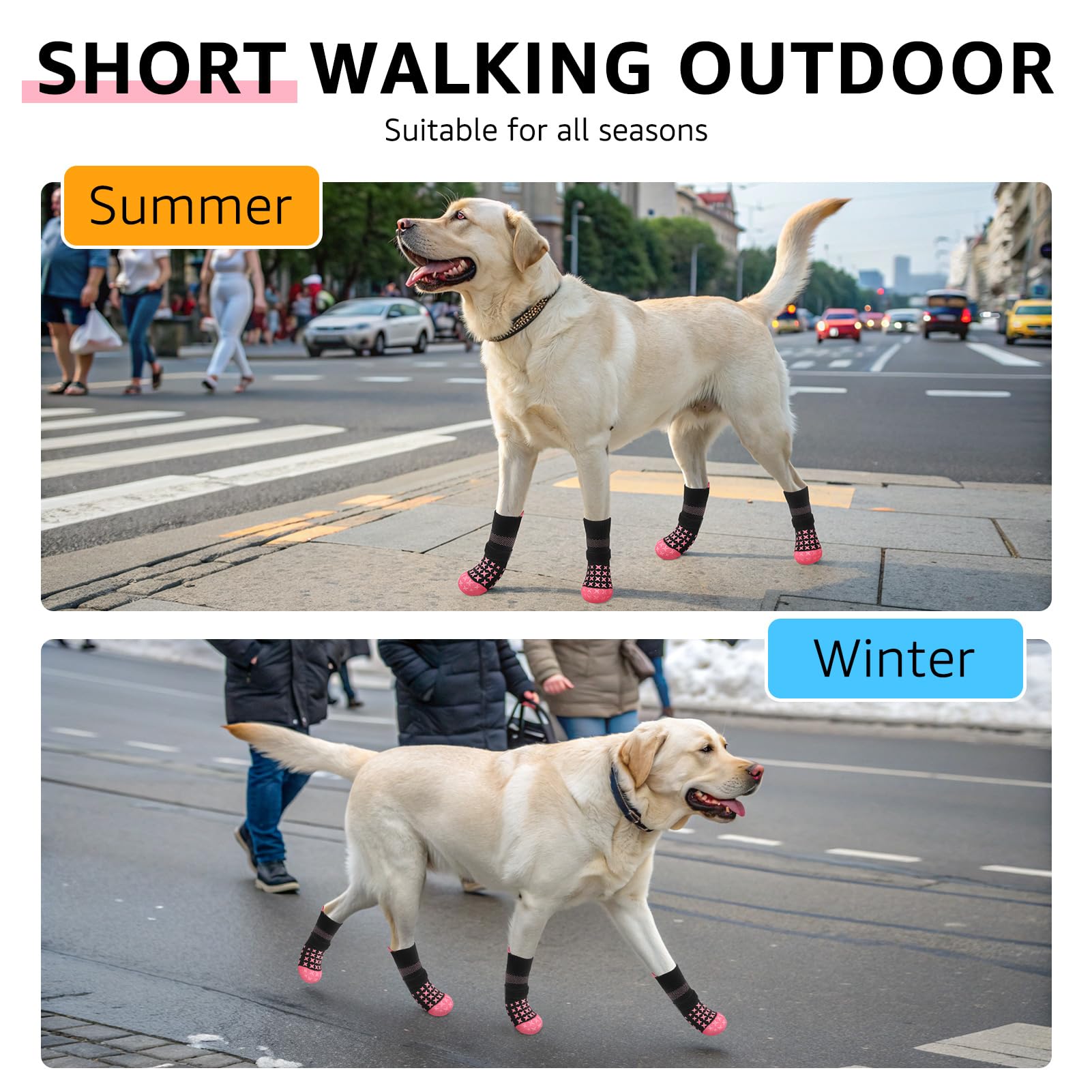 SCENEREAL size chart shows five paw width and length options for an accurate fit