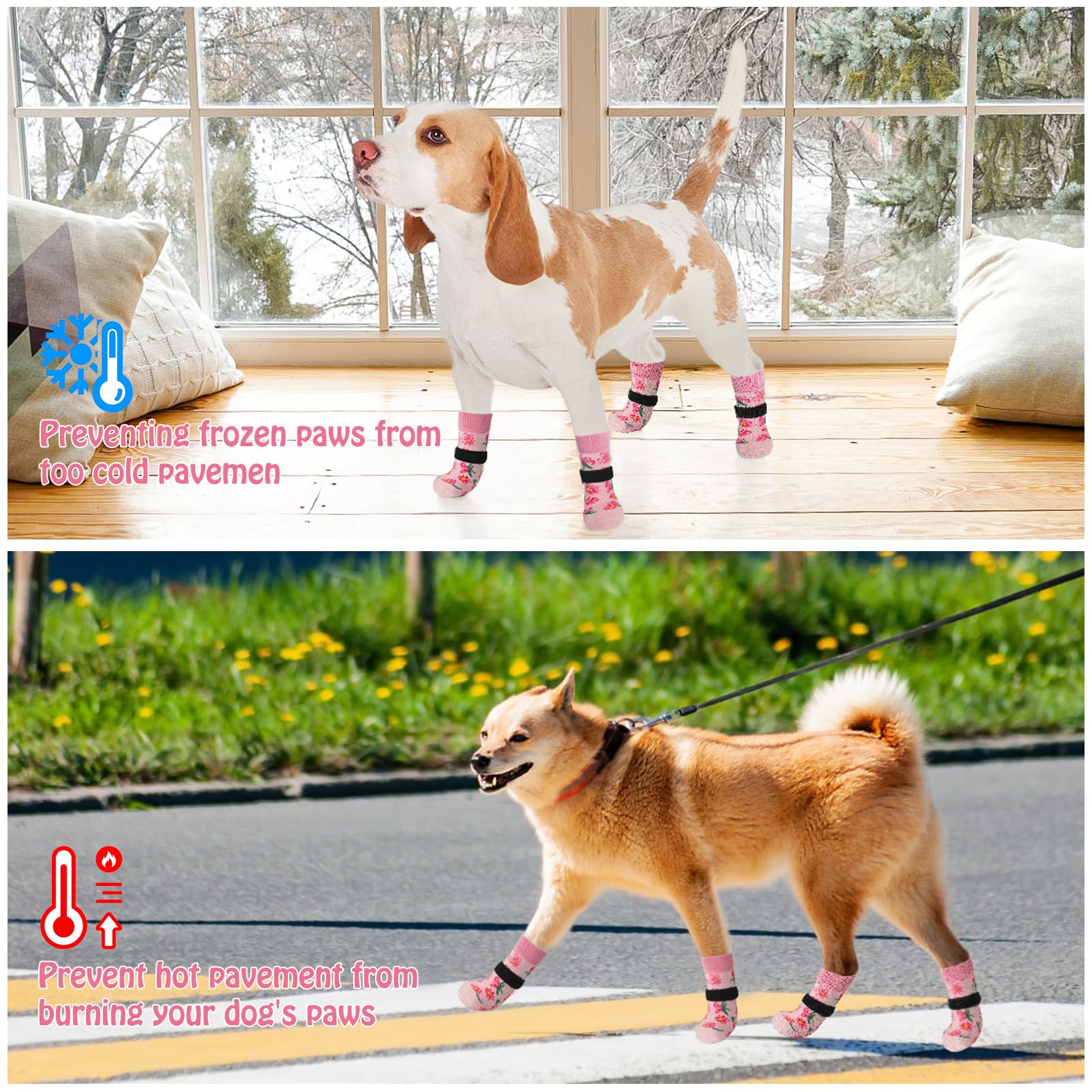 SCENEREAL floral-design dog socks close-up showcases stylish paw wear.