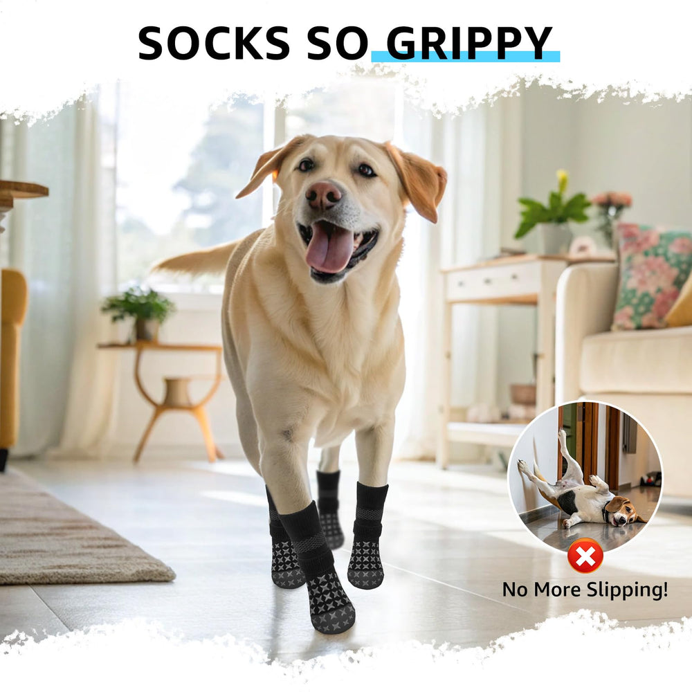 SCENEREAL grey dog socks on a dog during a walk emphasize style and practical traction.