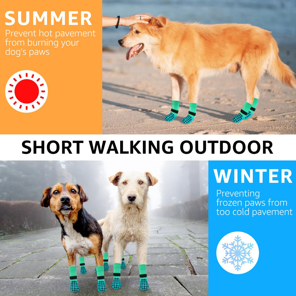 SCENEREAL paw protectors shield paws from hot and rough pavements on sunny days