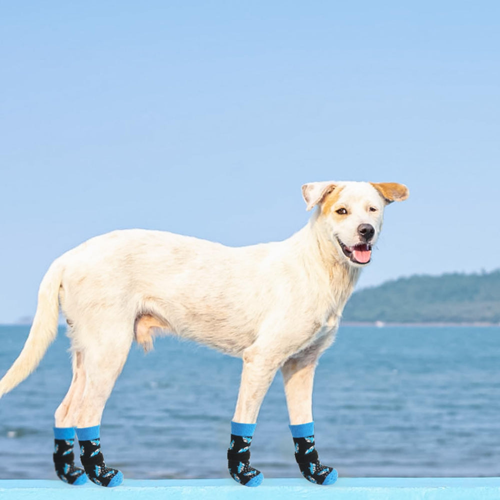 SCENEREAL dog socks in use on hardwood floors for improved indoor grip.