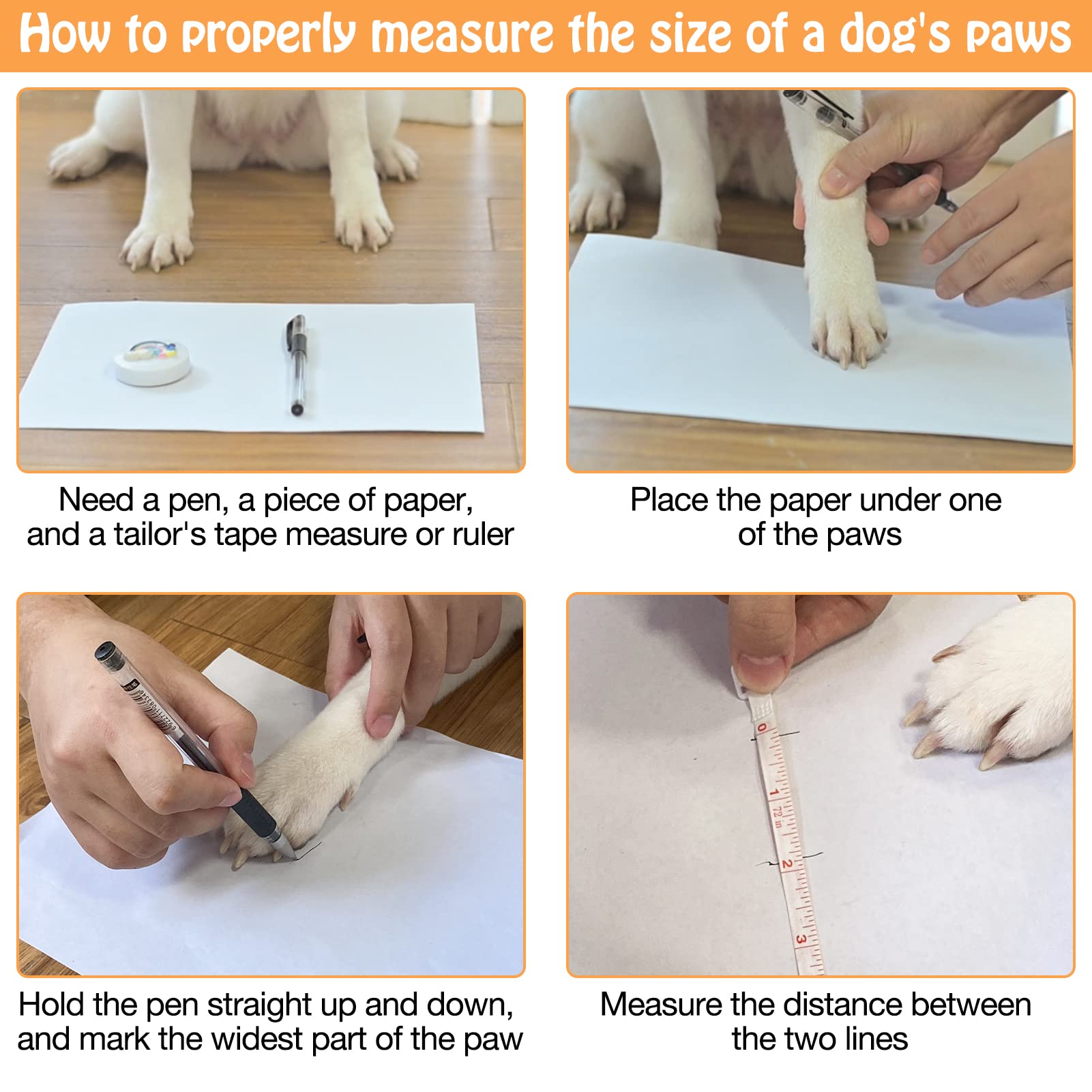 SCENEREAL dog-socks-on-floor demonstrates grip on hardwood floors during play