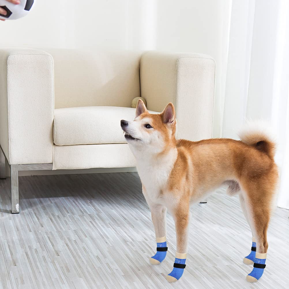 SCENEREAL sock on large dog shows flexible protection.