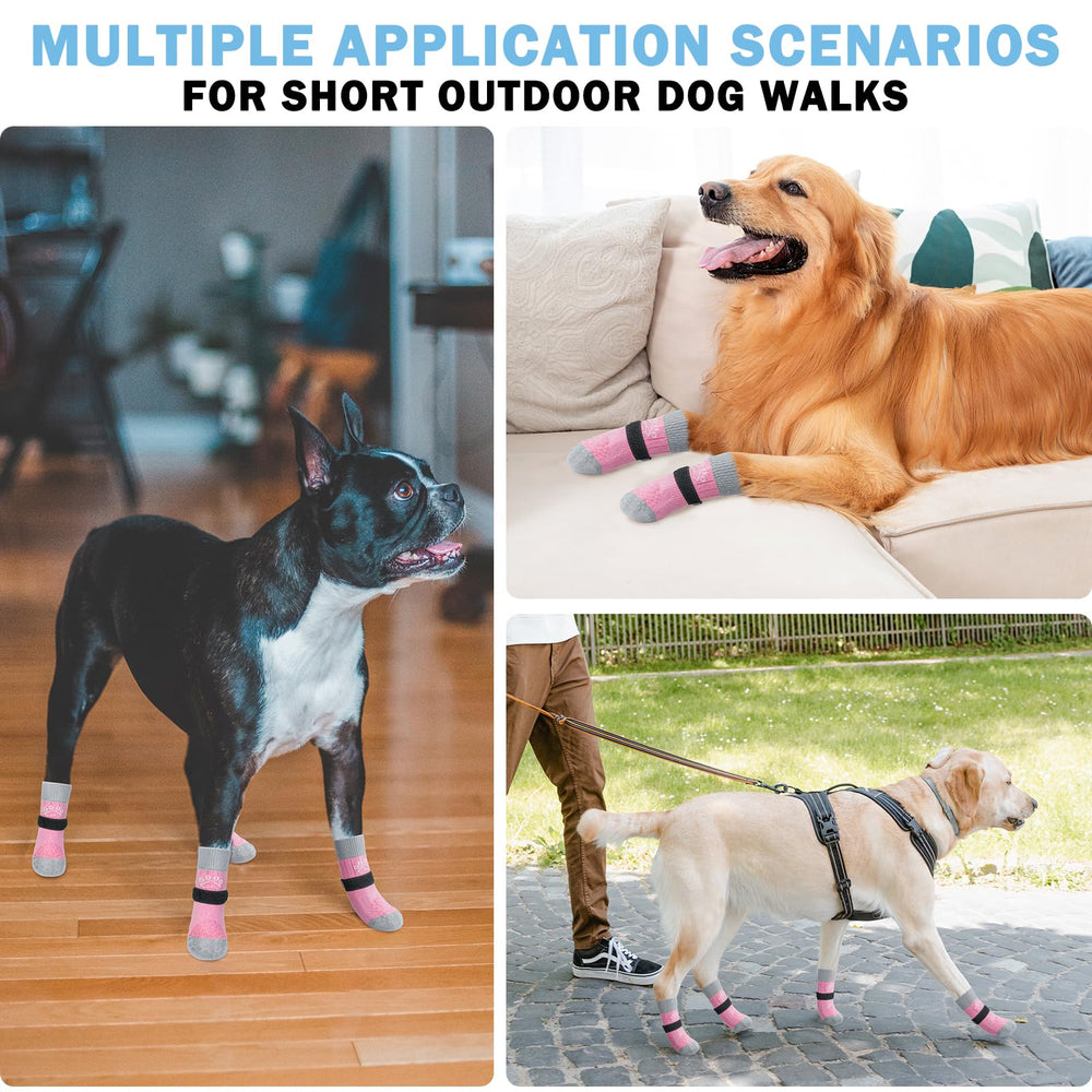 SCENEREAL 6-pack supports paw protection during outdoor adventures