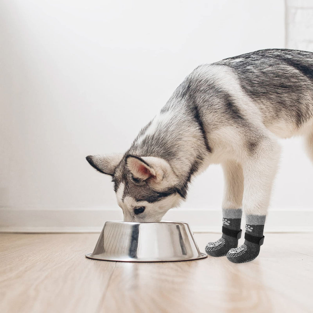 SCENEREAL dog socks on senior dogs support balance and confidence indoors.