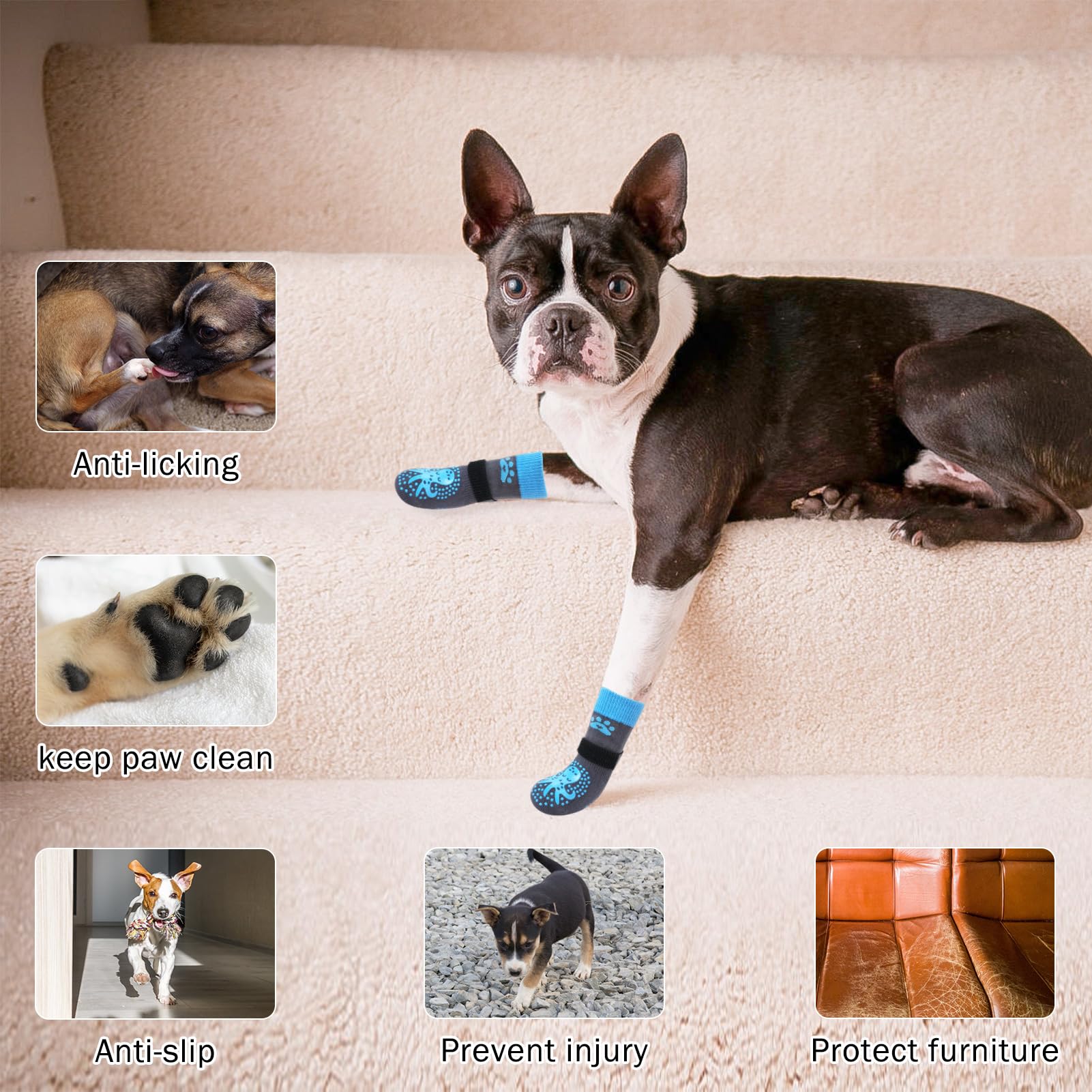 SCENEREAL dog socks used by seniors to support steady steps.