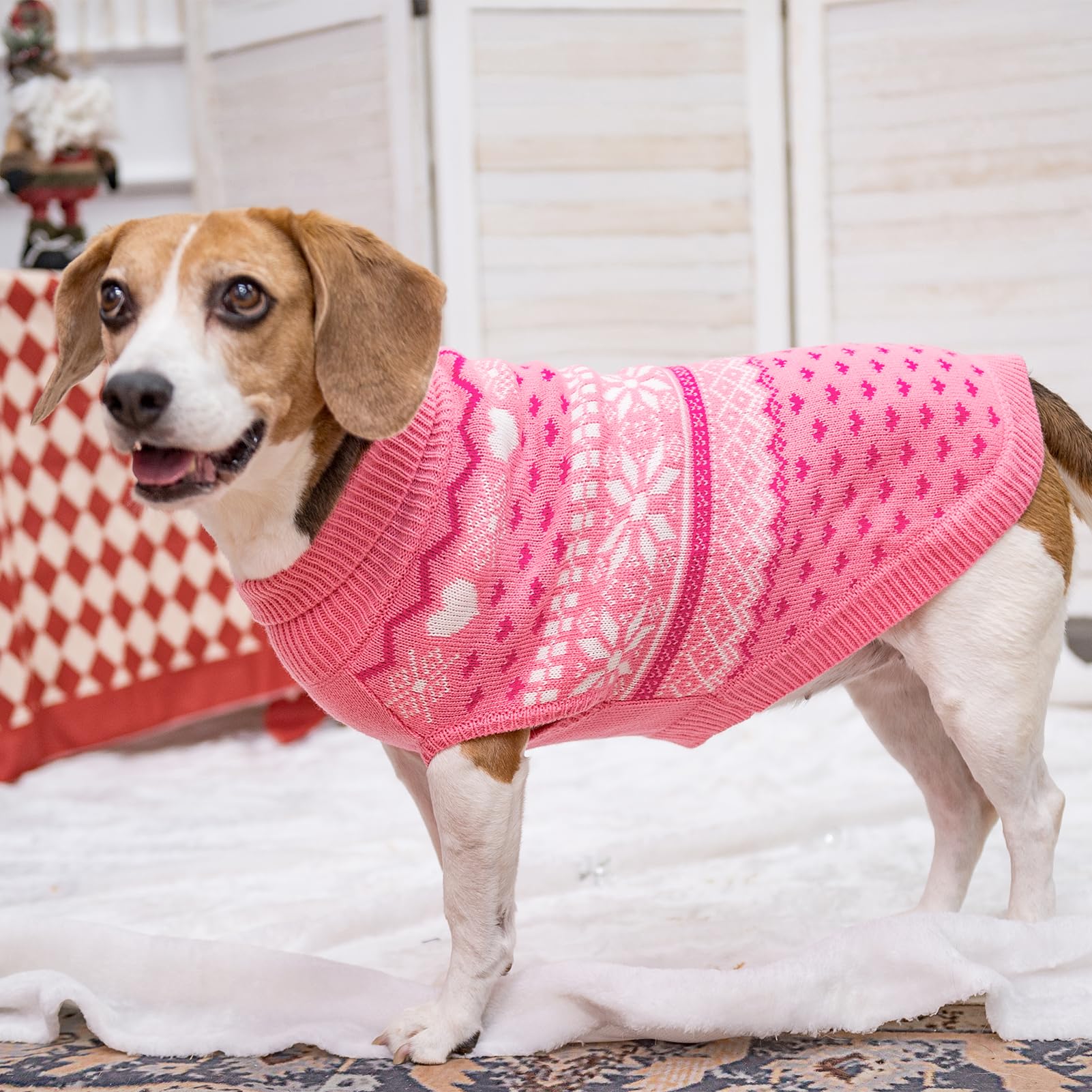 SCENEREAL dog sweater color varieties photo shows options for boy or girl dogs.