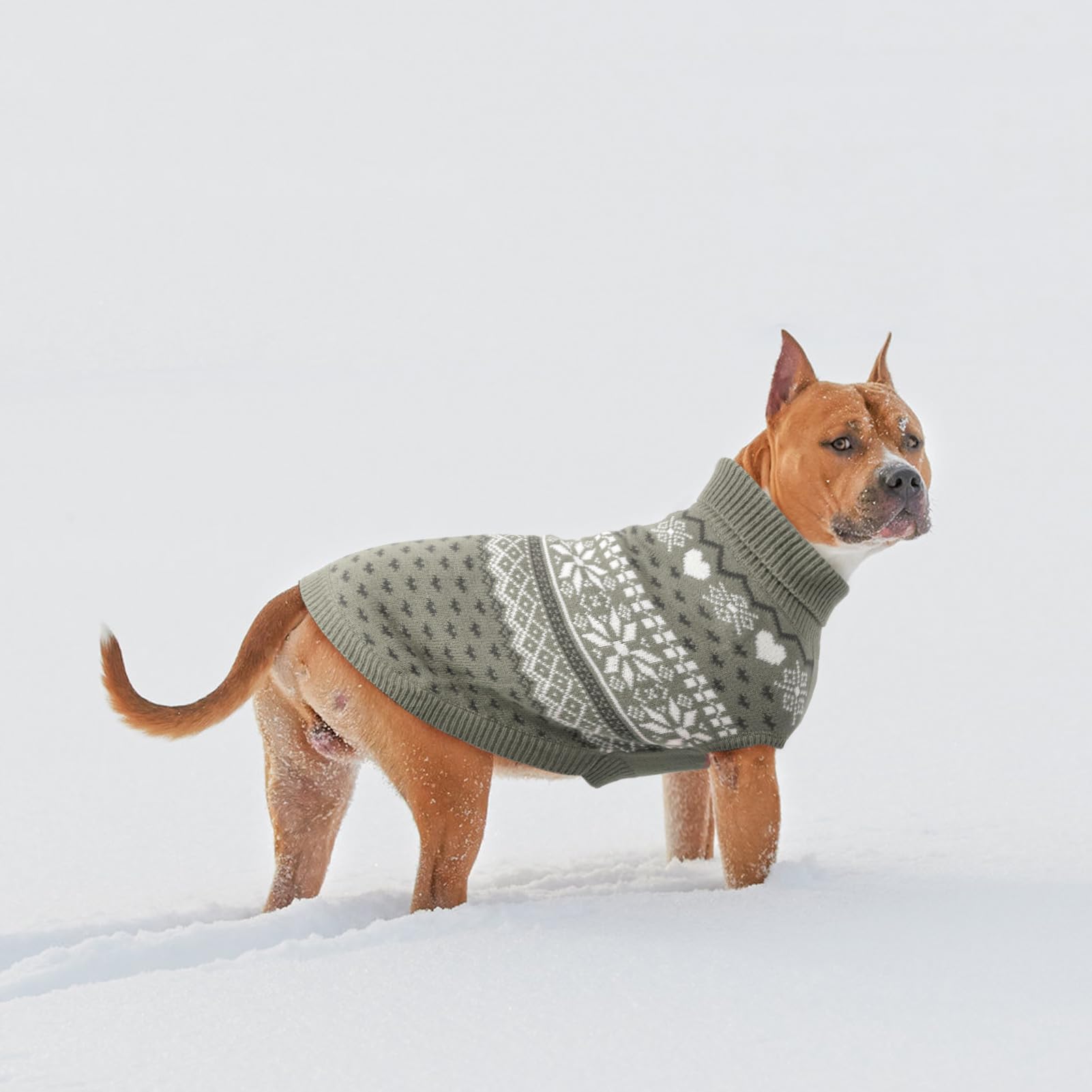 SCENEREAL cozy knitted sweater with high collar blocks wind.