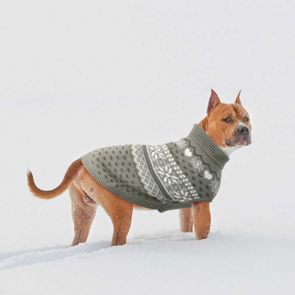 SCENEREAL cozy knitted sweater with high collar blocks wind.