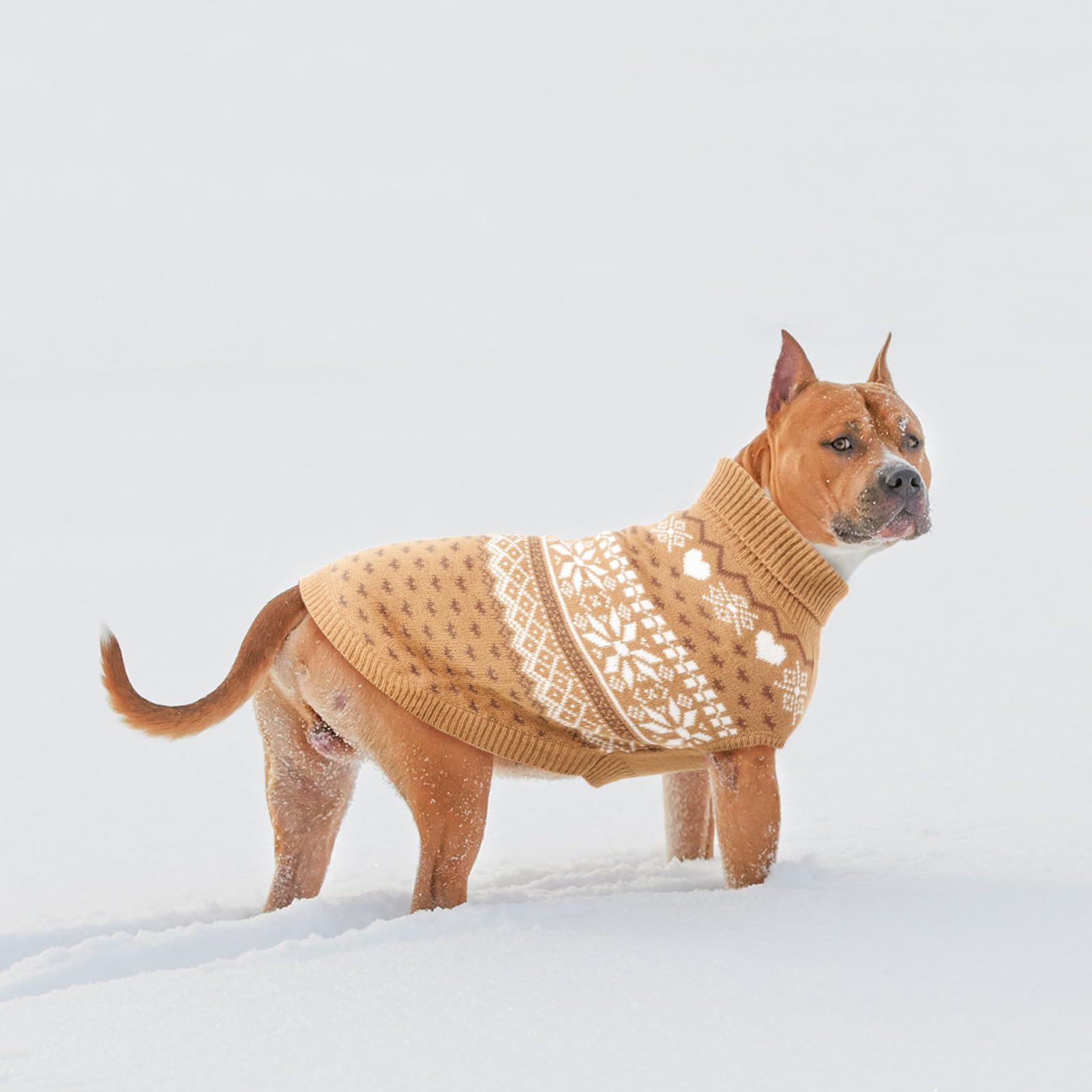 SCENEREAL dog sweater machine washable option for simple cleanup.