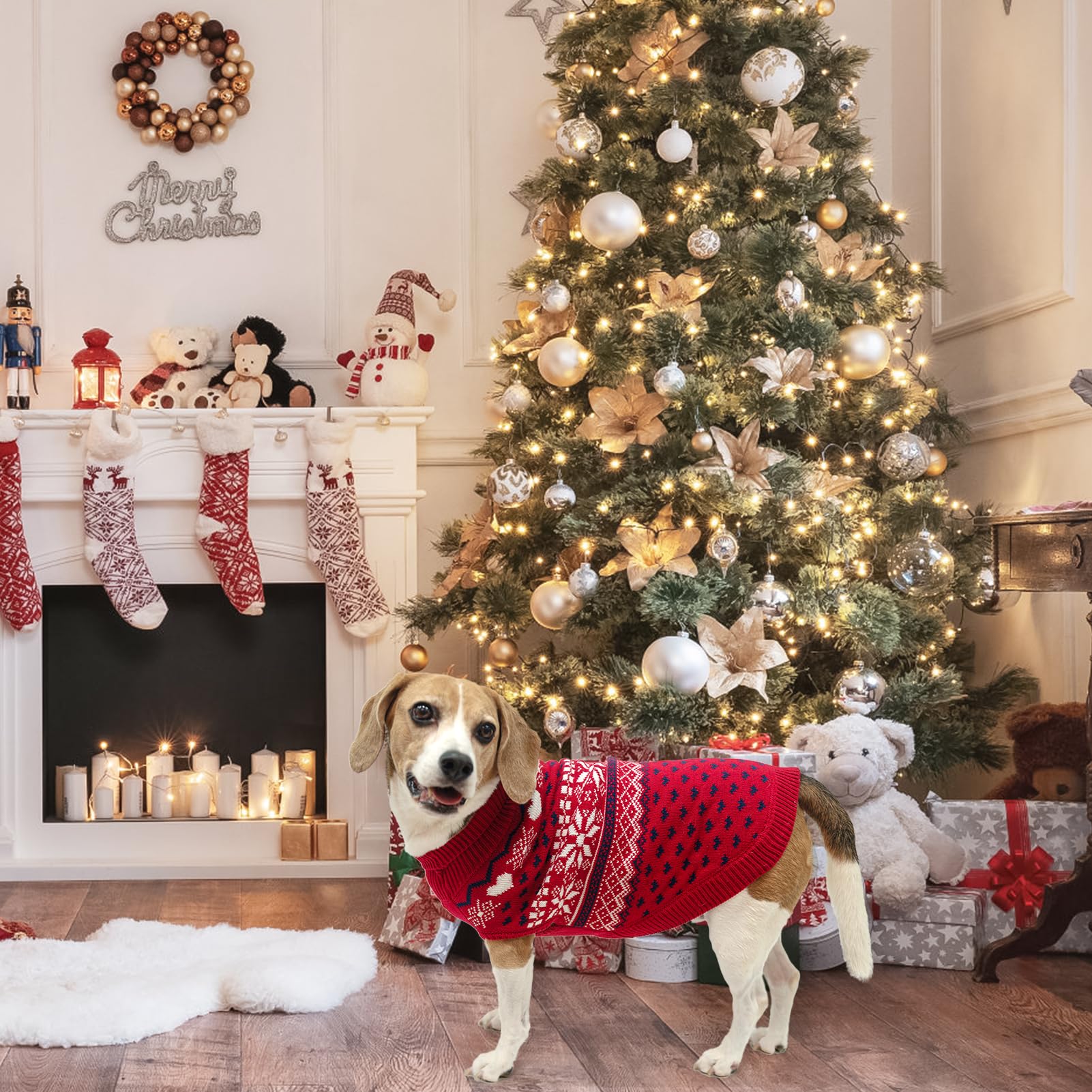 SCENEREAL dog sweater red flat lay illustrates care tips and size guidance.