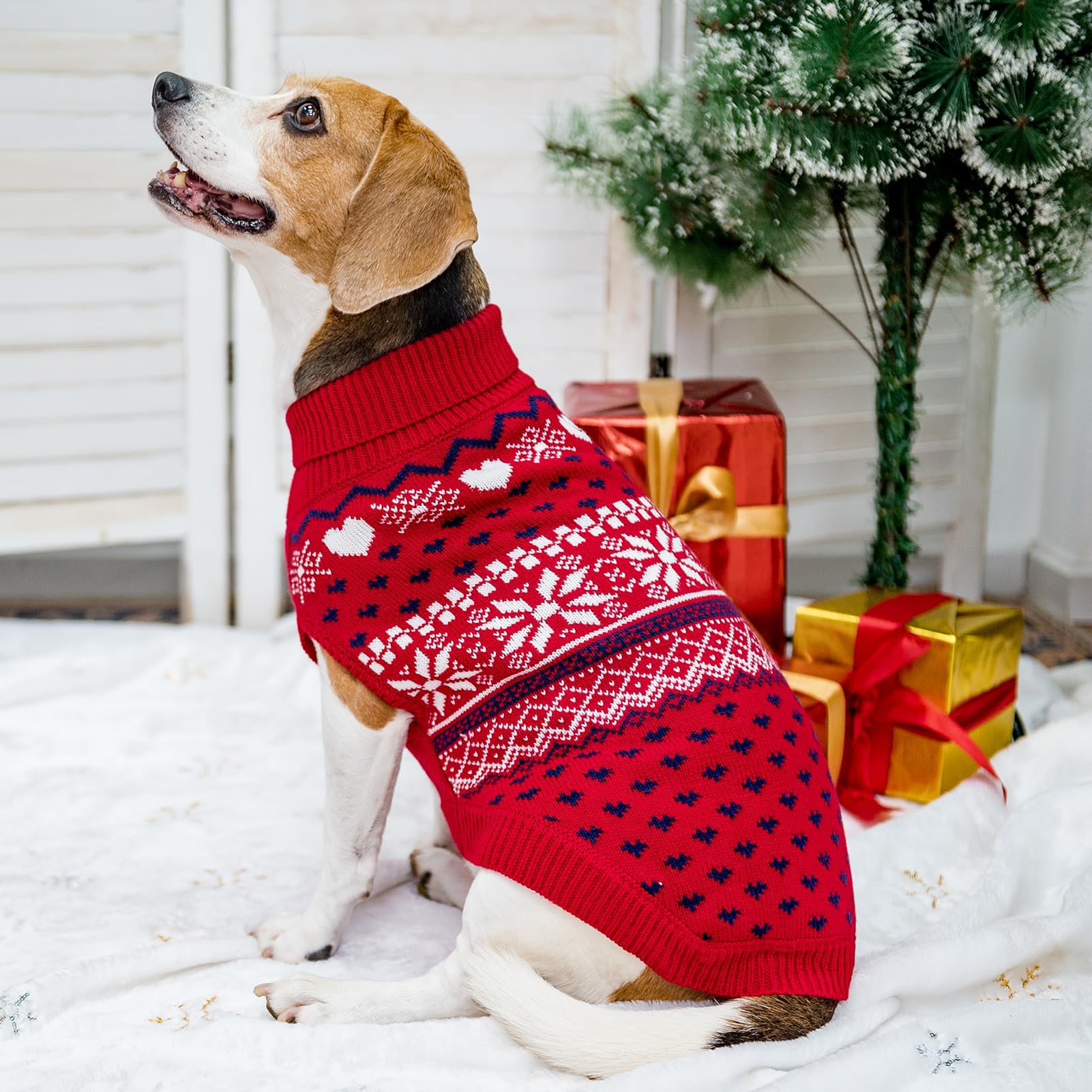 SCENEREAL dog sweater size L back length 20 inches.