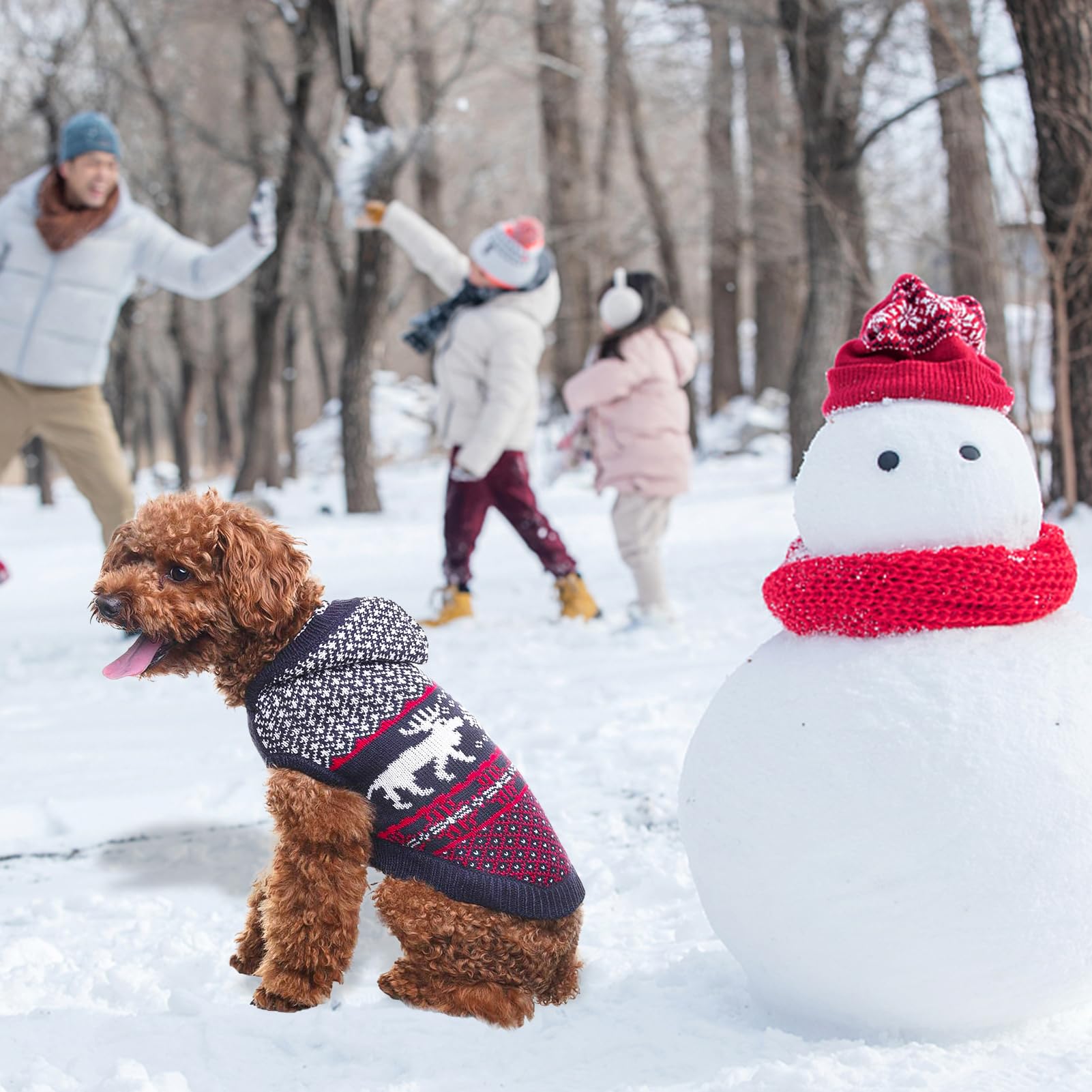 SCENEREAL dog sweater closeup displays soft acrylic fabric and warmth retention.