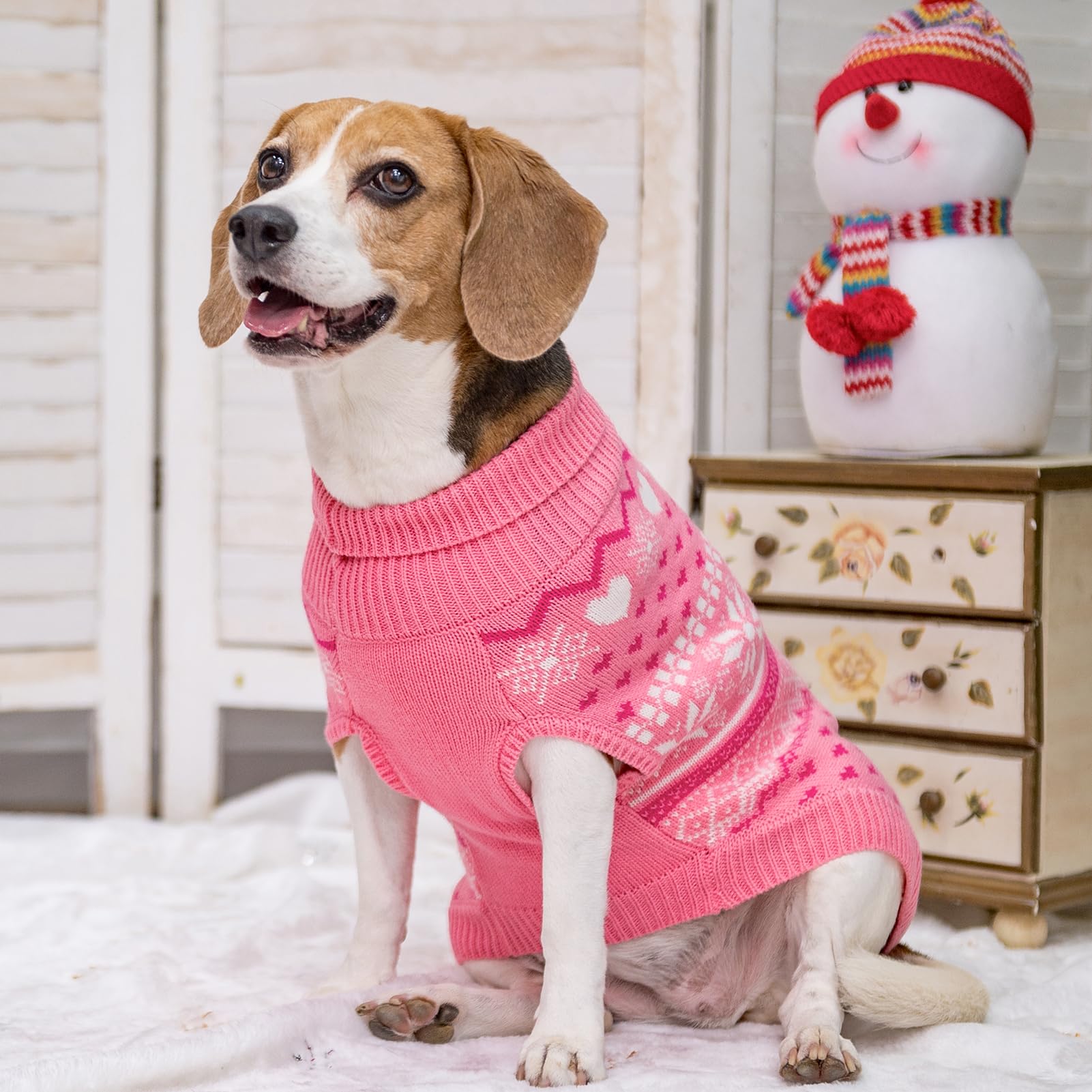 SCENEREAL dog sweater turtleneck detail provides wind protection during walks.