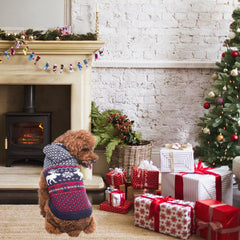 SCENEREAL dog sweater during winter walk demonstrates holiday style.