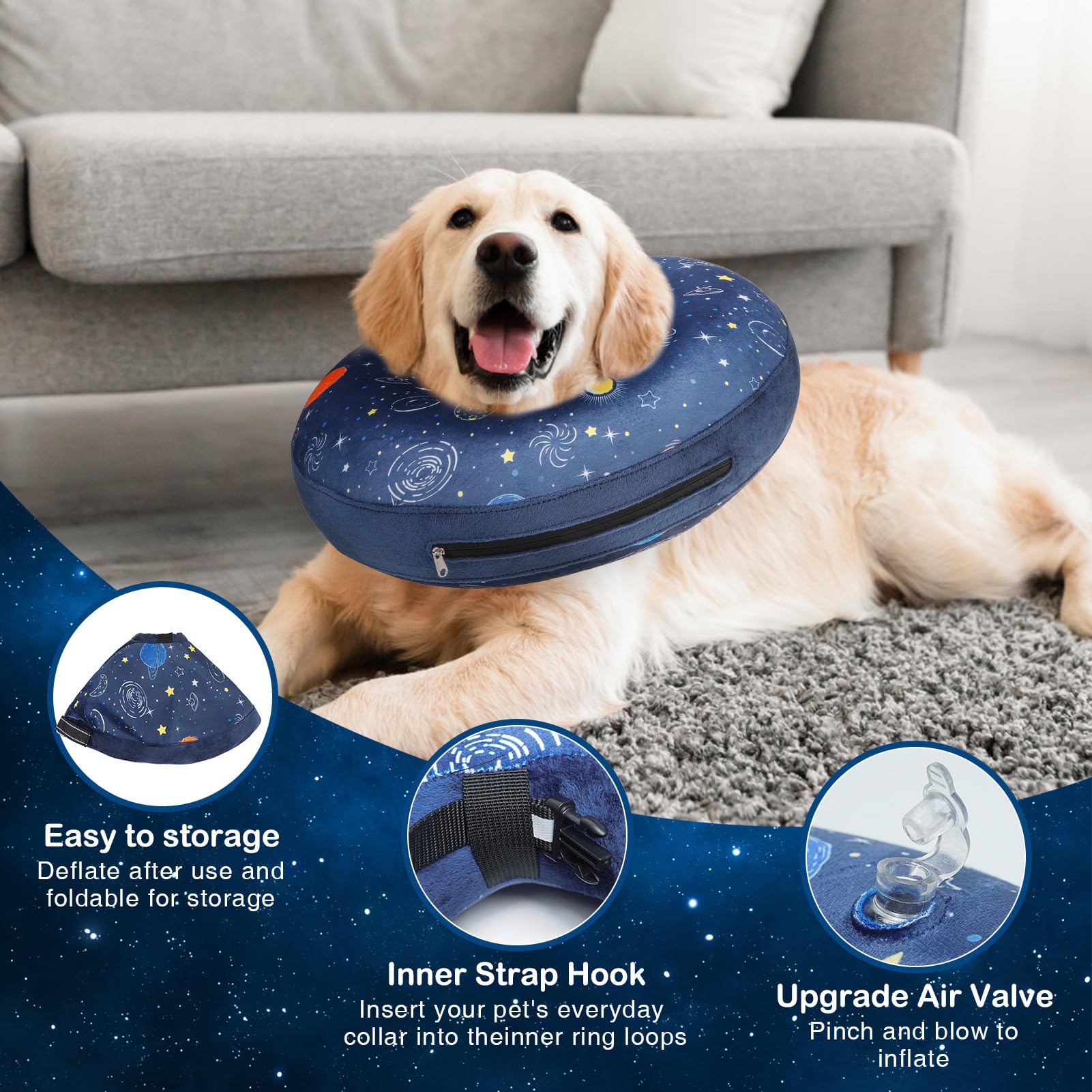 SCENEREAL dog wearing donut collar enjoying gentle movement.