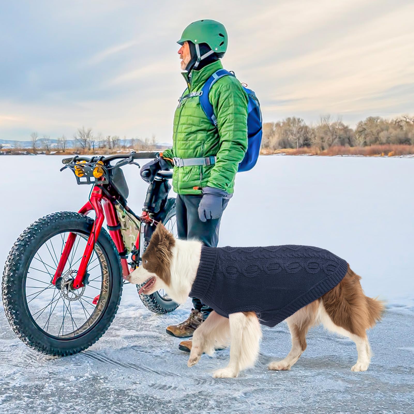SCENEREAL dog wearing navy sweater during winter walk for warmth