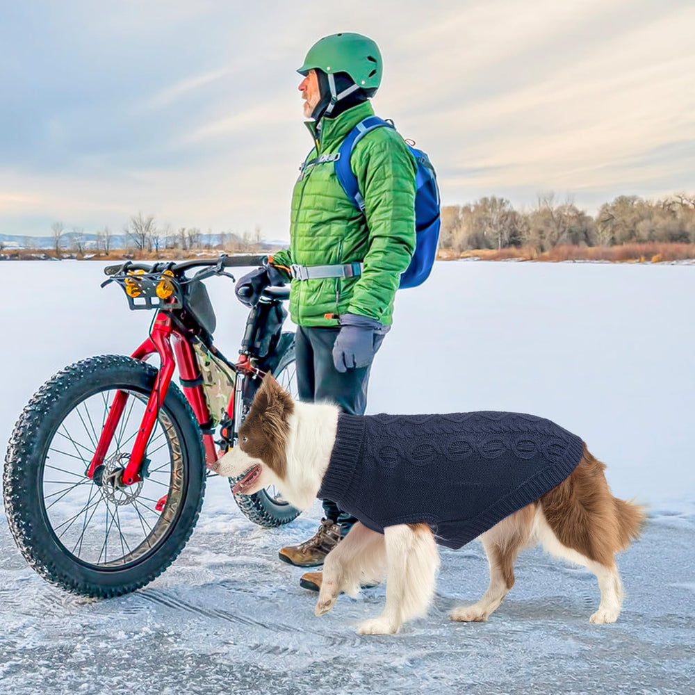SCENEREAL dog wearing navy sweater during winter walk for warmth